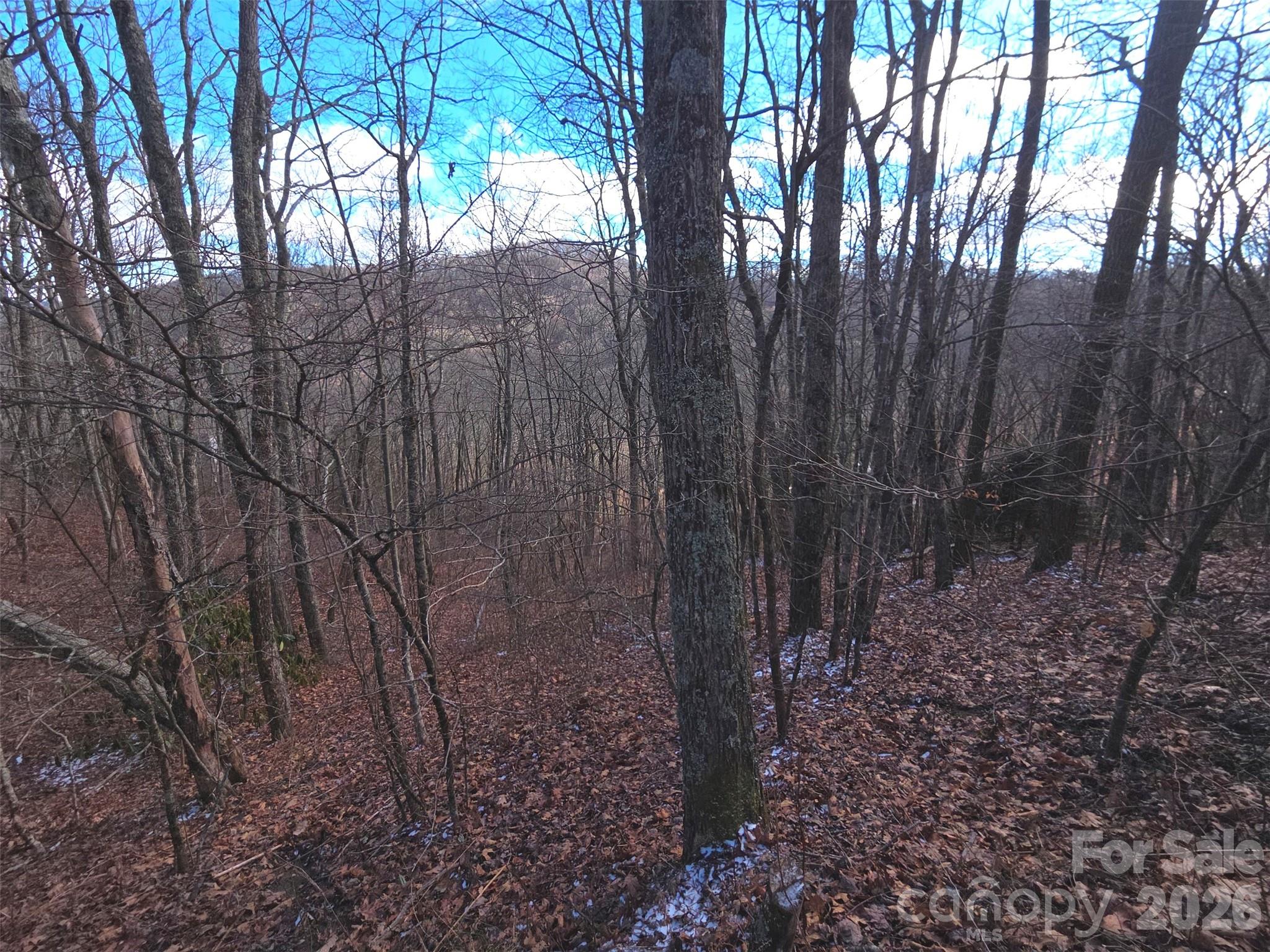 Lot at 220 Sky Drive, Maggie Valley, photo 16 of 19