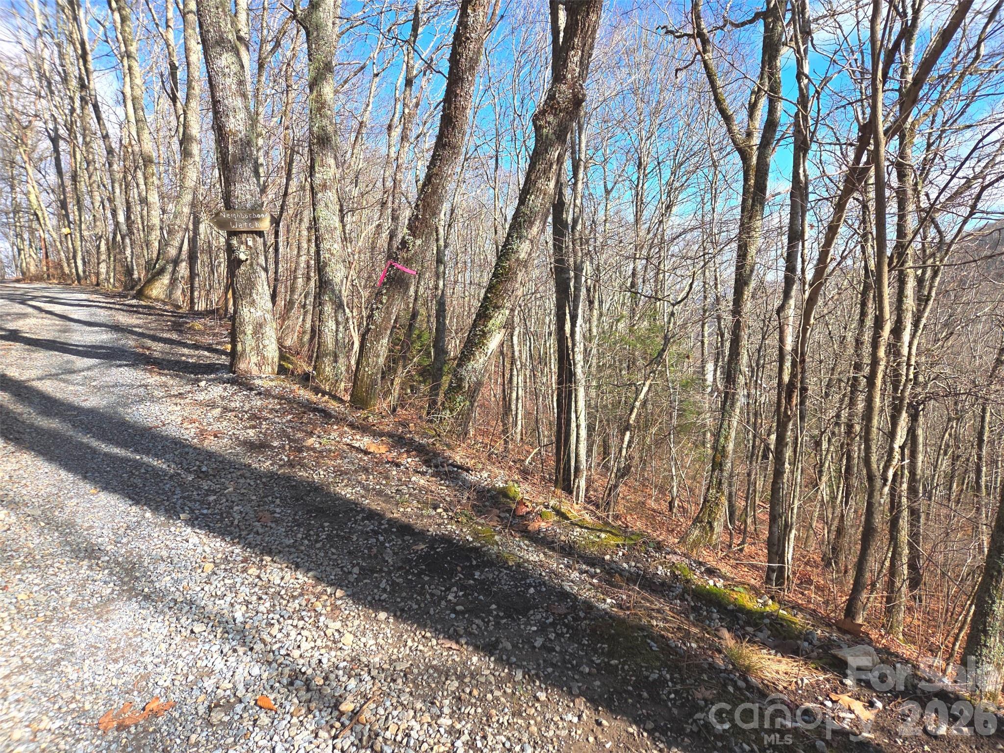 Lot at 220 Sky Drive, Maggie Valley, photo 17 of 19