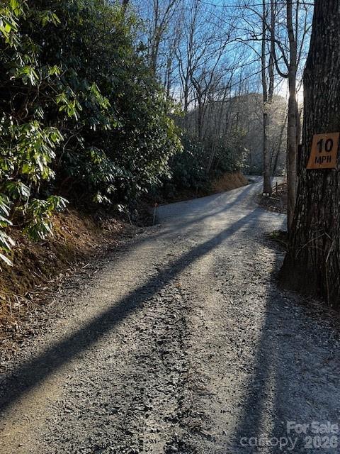 Acreage at 9999 Tessie Lane, Black Mountain, photo 2 of 5