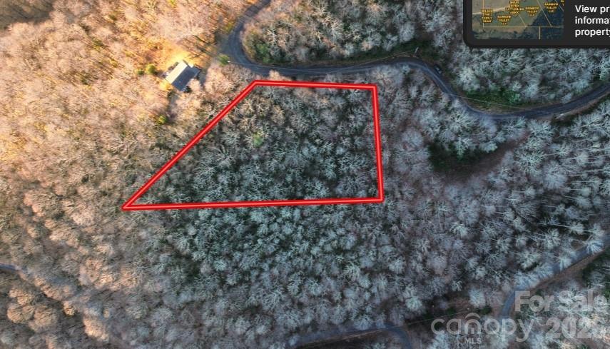 Approximate property lines - Lot 32 Bear Hollow Road, Waynesville