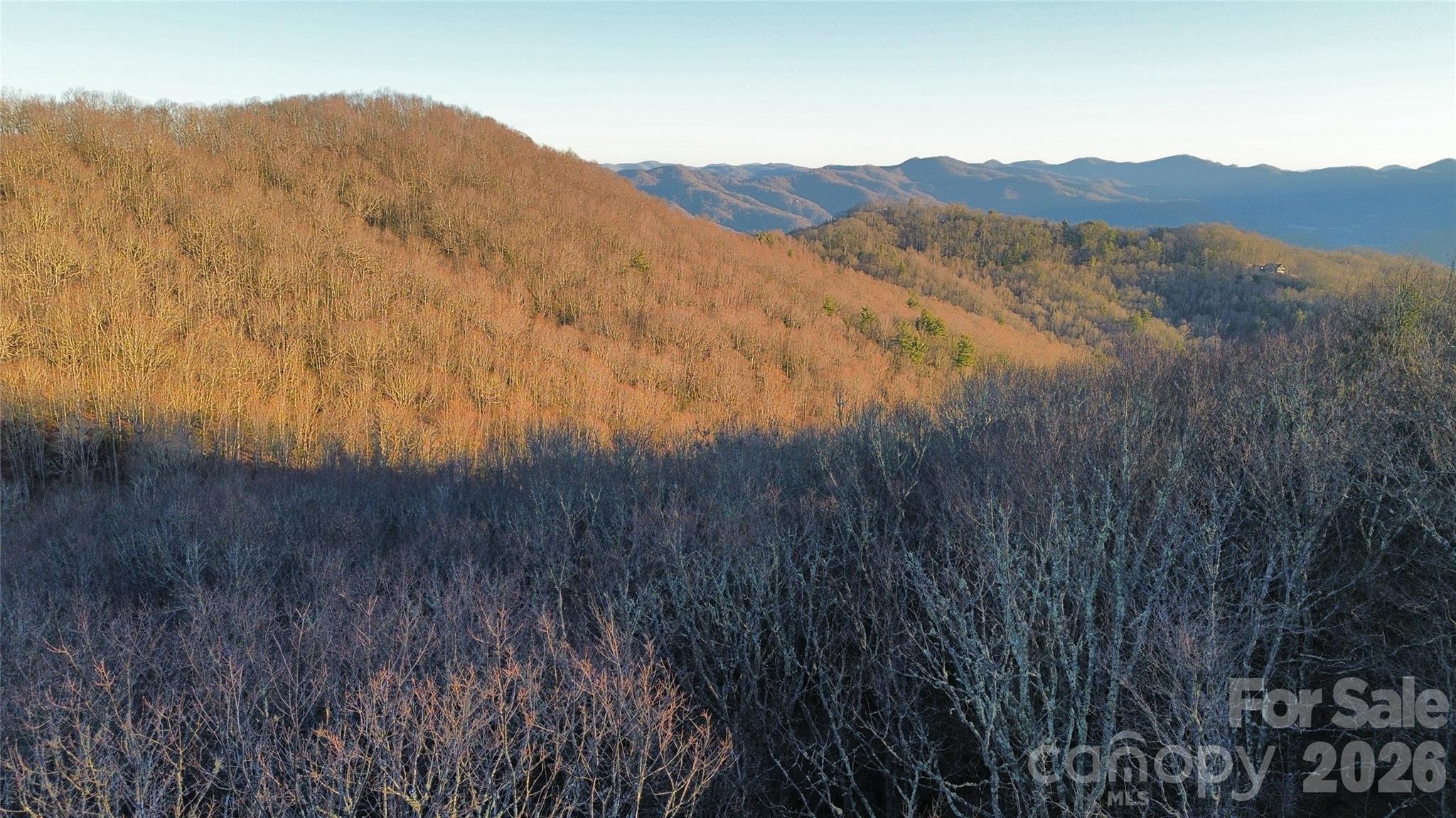 View from tree line - Lot 32 Bear Hollow Road, Waynesville