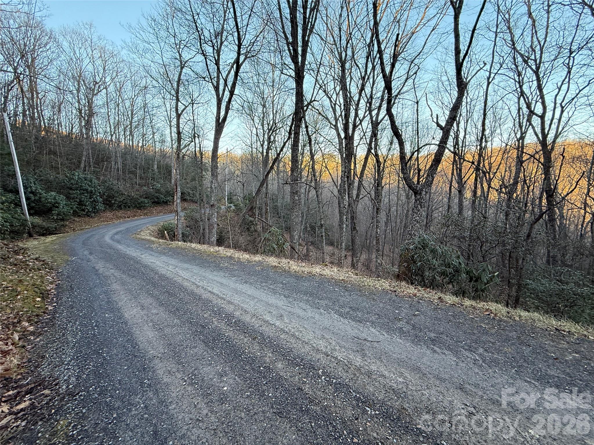 Road in front of property - Lot 32 Bear Hollow Road, Waynesville