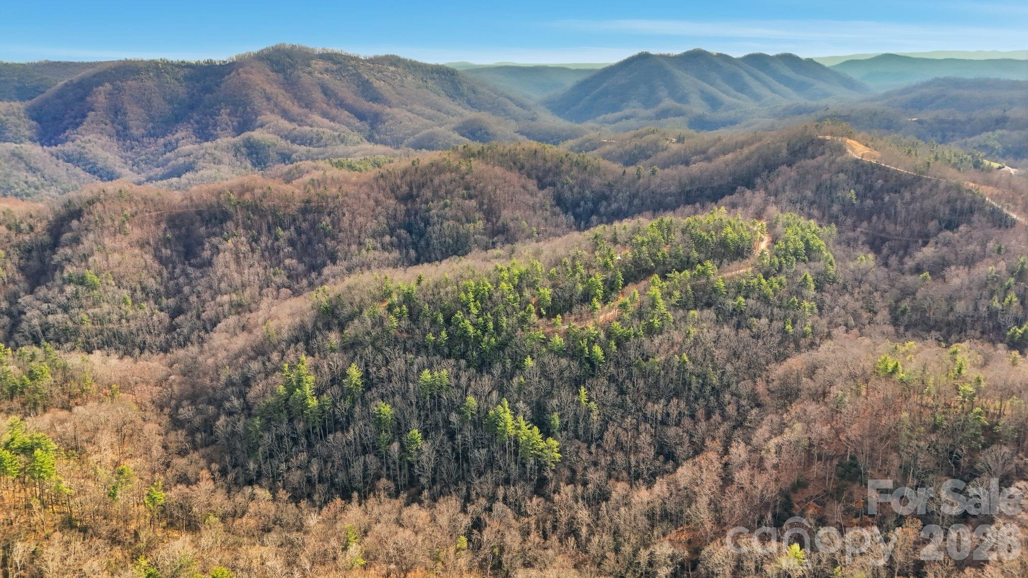 Acreage at 0 Timberline Drive, Lenoir, photo 2 of 18