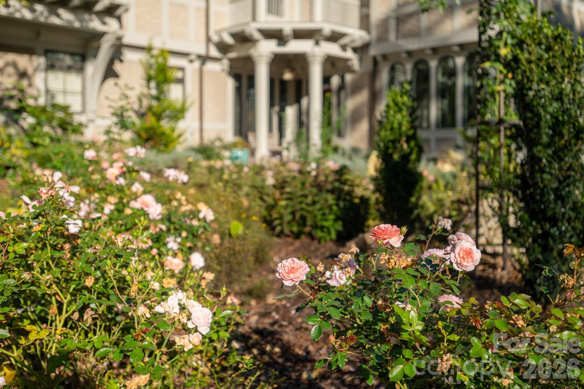 Perennial gardens welcome guests at the front entrance - 8 Fairway Place, Asheville