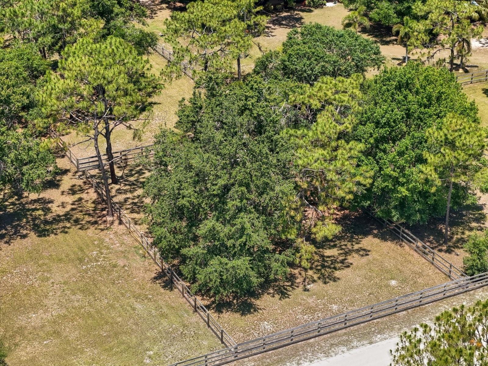 Single Family Residence at 13719 and 13615 SEMINOLE TRL, WIMAUMA, photo 65 of 68