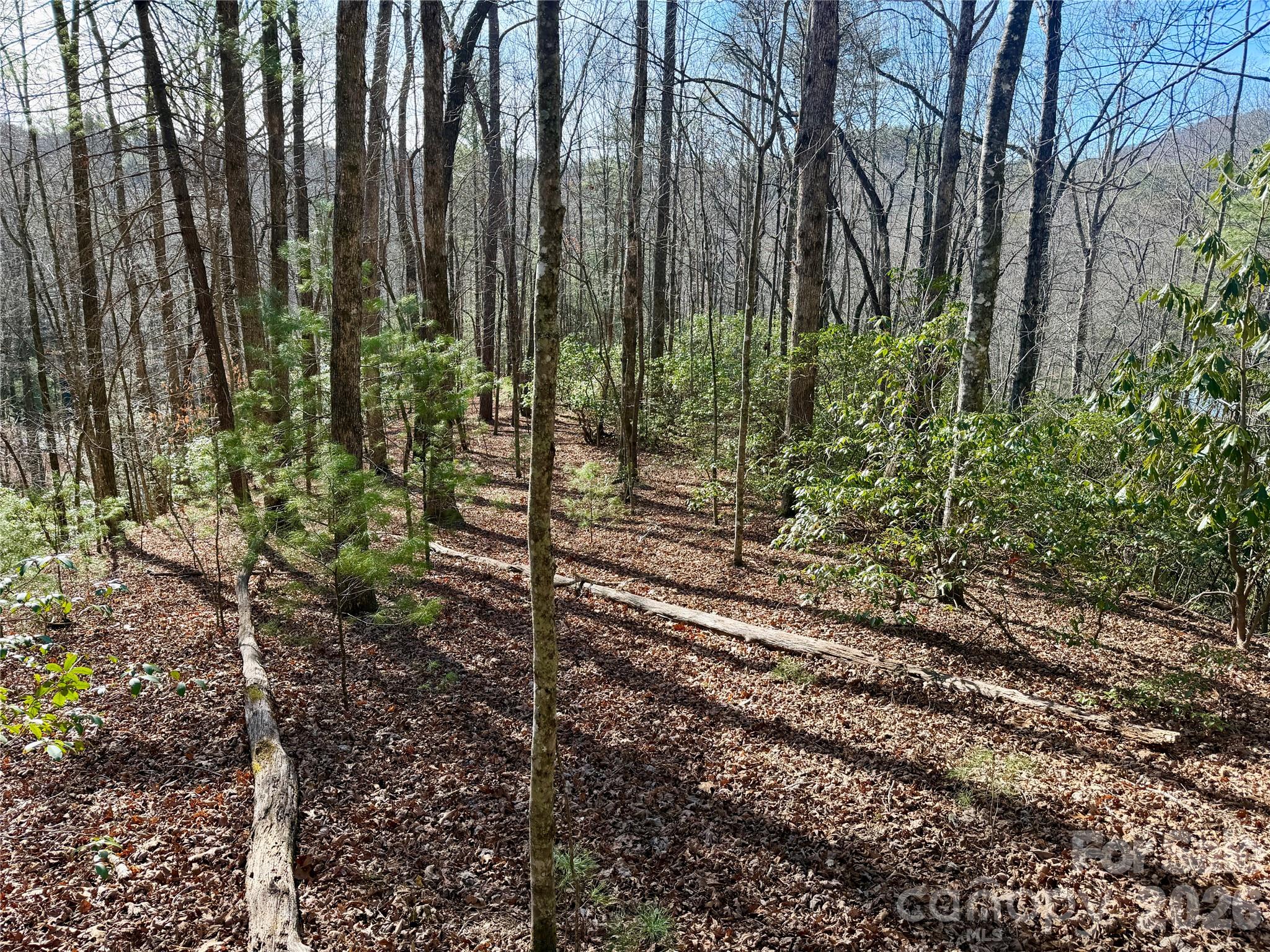 Lot at Lot 48 Fox Den Road, Brevard, photo 2 of 14