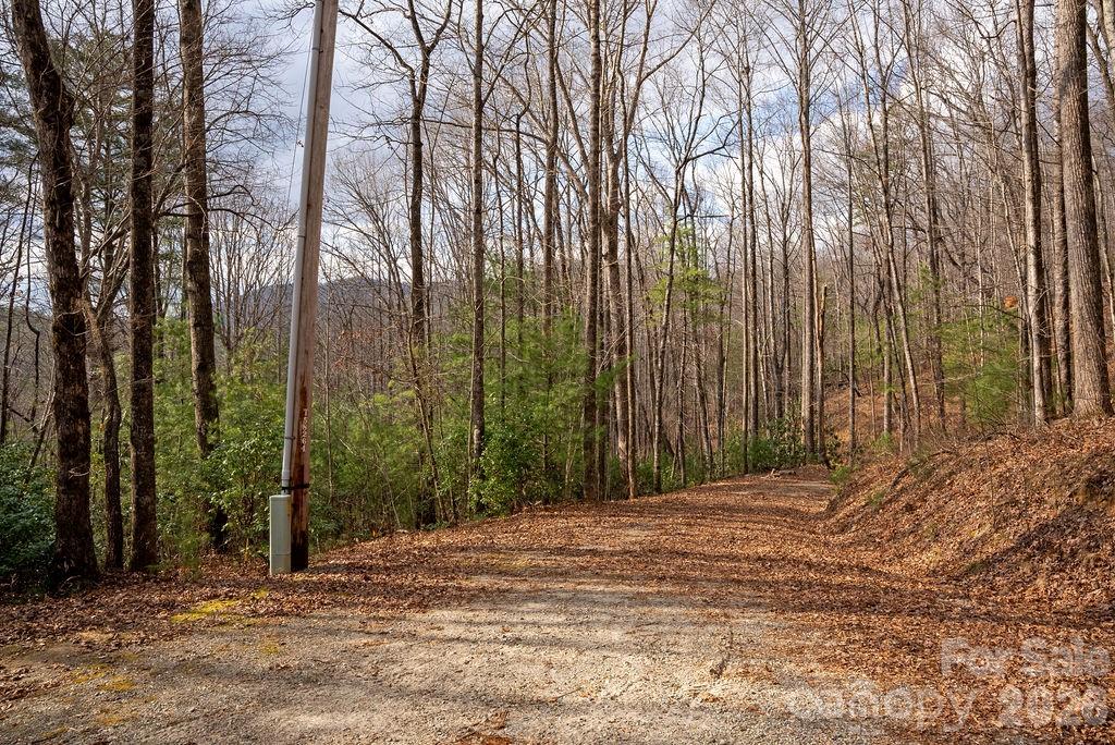 Lot at Lot 48 Fox Den Road, Brevard, photo 3 of 14