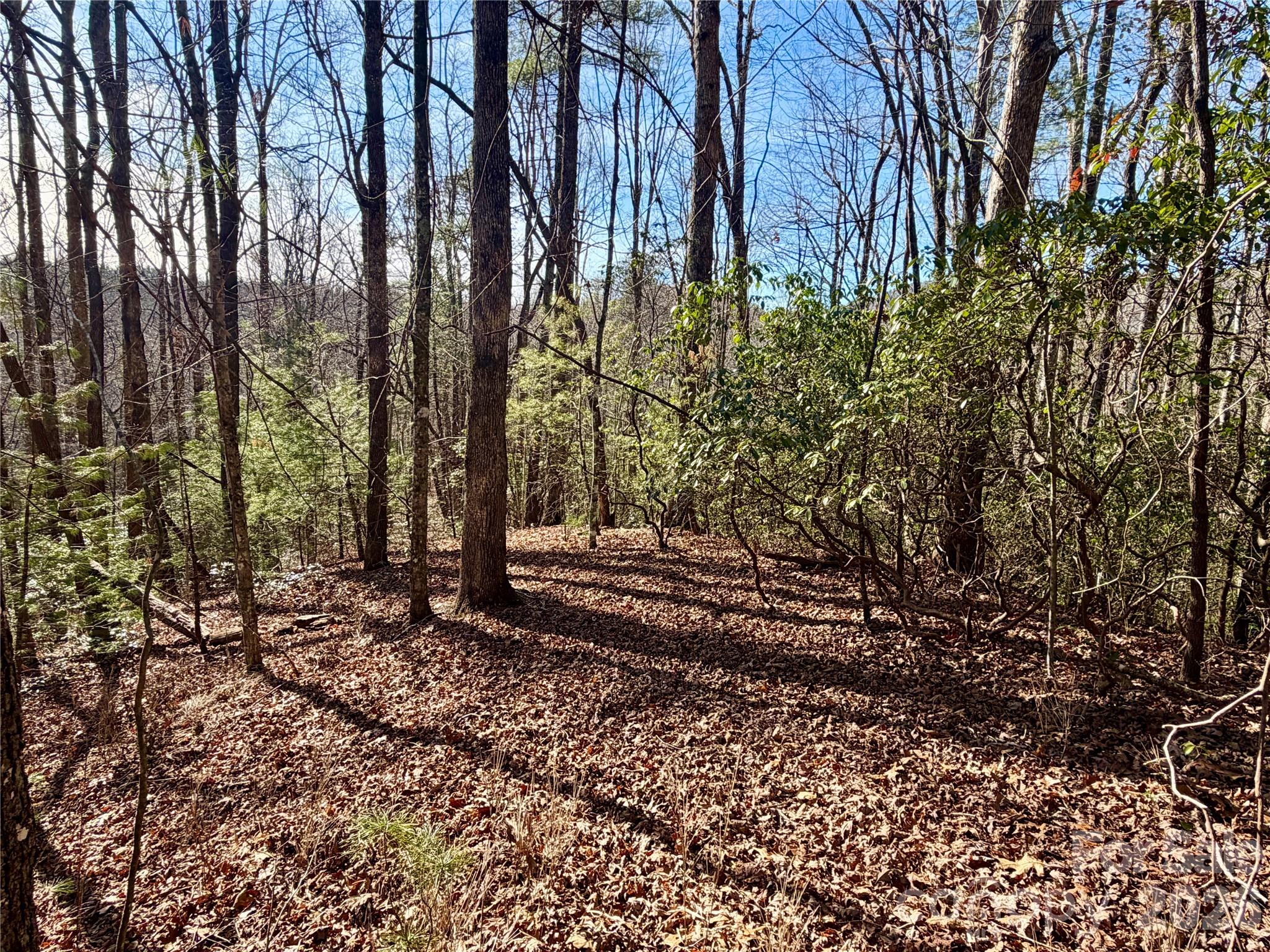 Lot at Lot 48 Fox Den Road, Brevard, photo 5 of 14