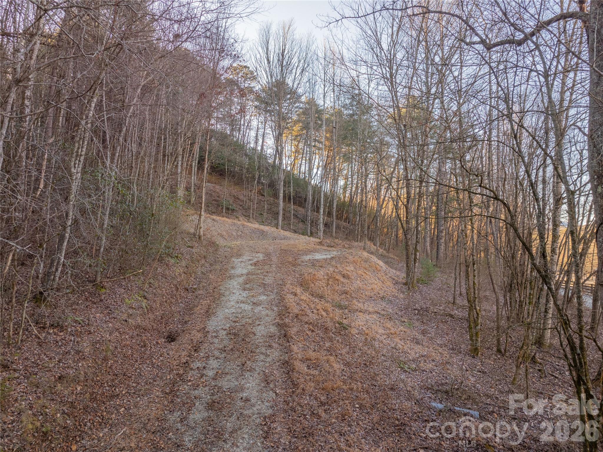 Lot at Lot 1 McCracken Road, Bryson City, photo 2 of 16