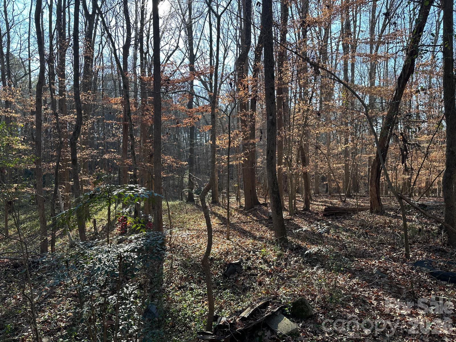 Acreage at 1415 Trinity Church Road, Monroe, photo 5 of 14