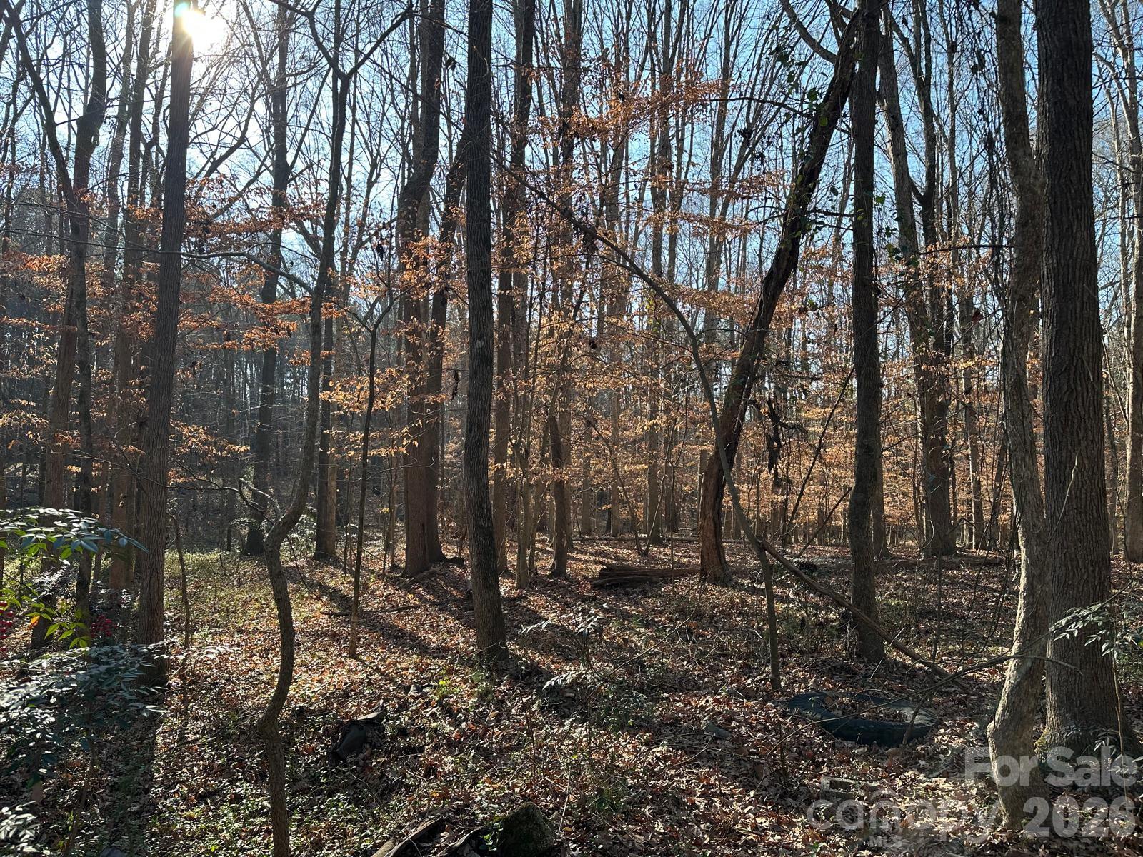 Acreage at 1415 Trinity Church Road, Monroe, photo 10 of 14