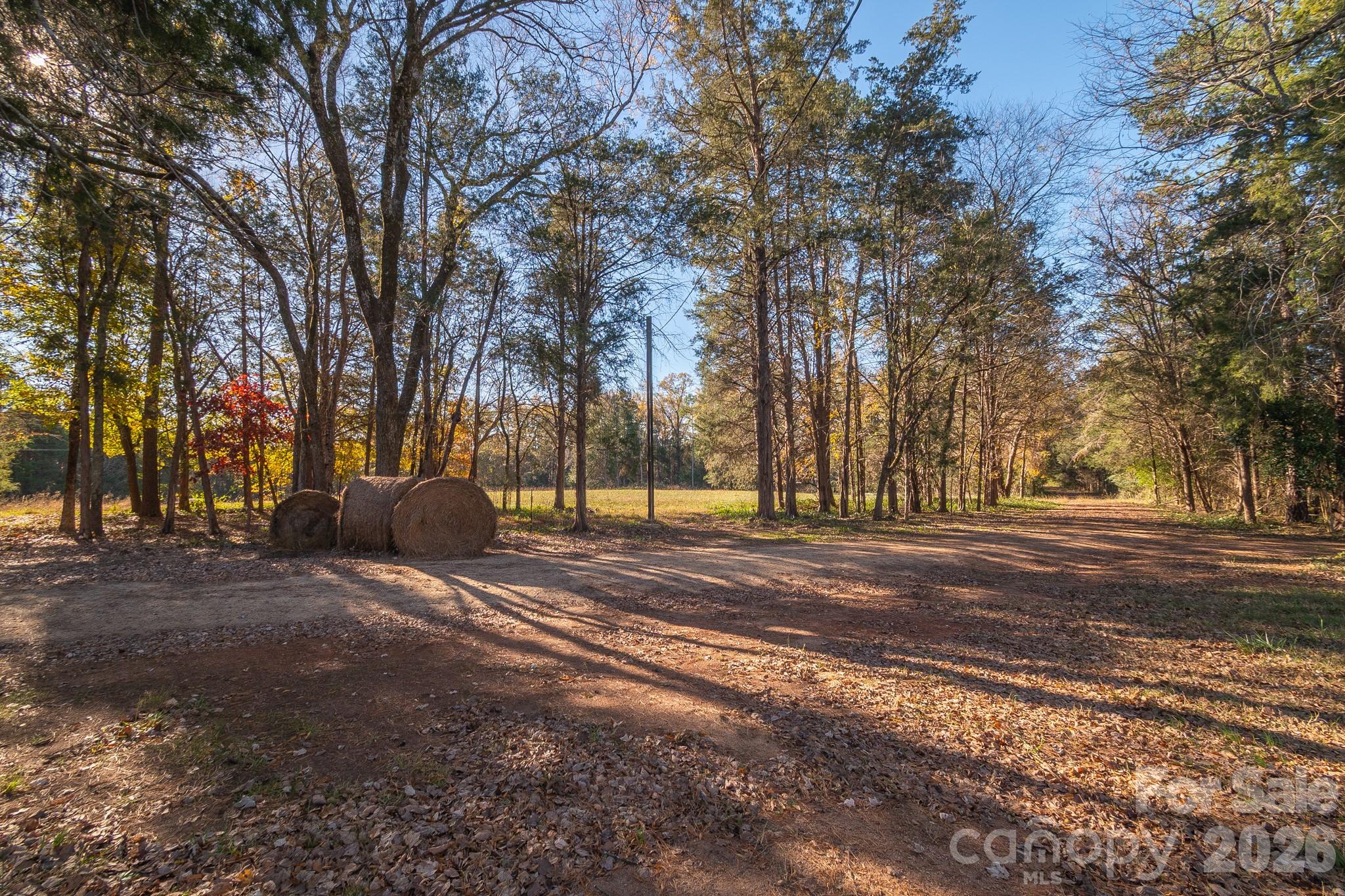 View from driveway - 1049 Culp Ferguson Road, Lancaster