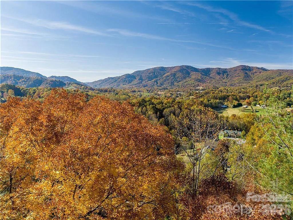 Lot at 75 S Lindon Cove Road, Candler, photo 3 of 15