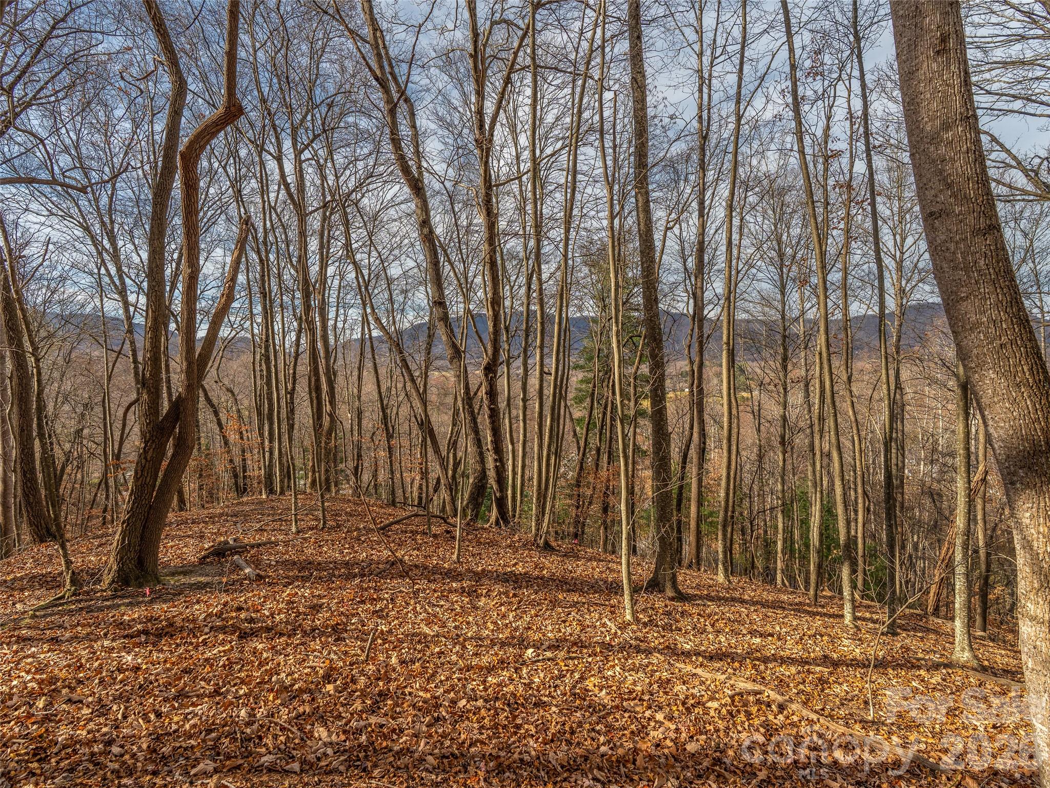 Great potential views - 75 S Lindon Cove Road, Candler