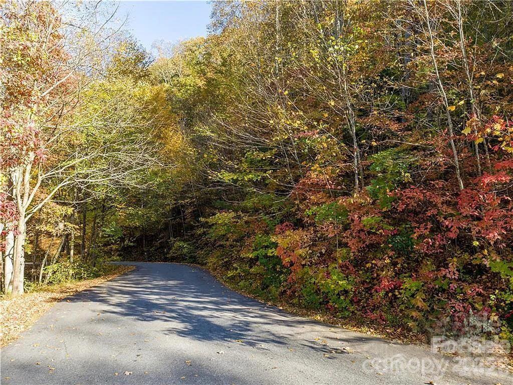 Lot at 75 S Lindon Cove Road, Candler, photo 6 of 15