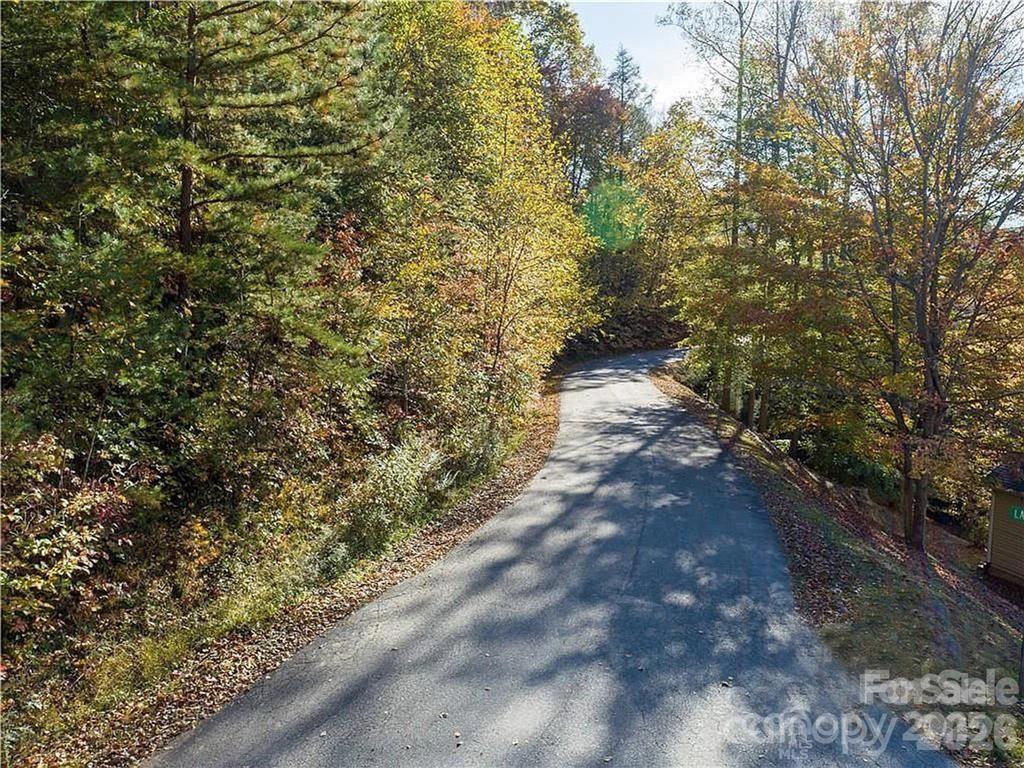 Lot at 75 S Lindon Cove Road, Candler, photo 7 of 15