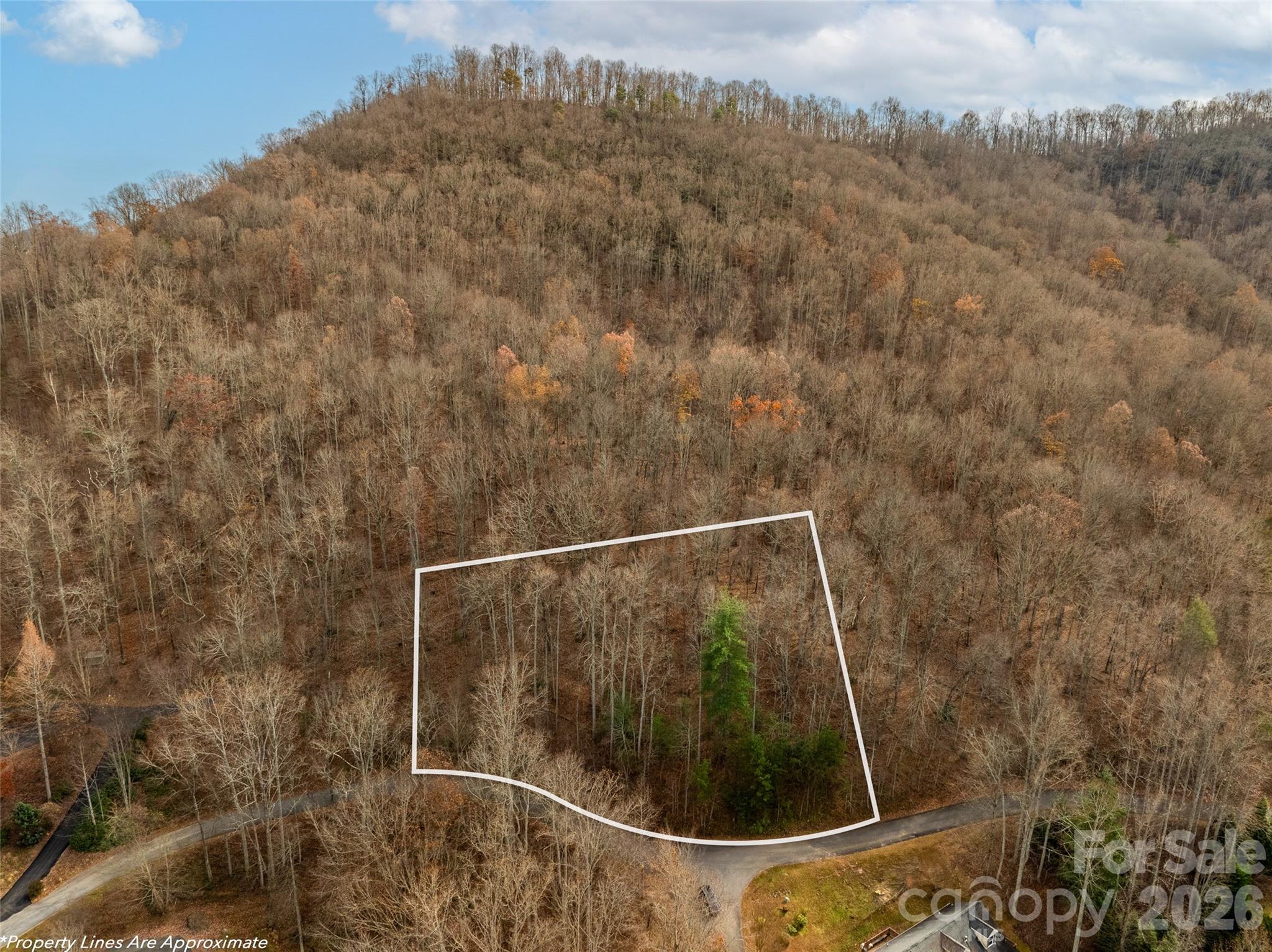Lot at 75 S Lindon Cove Road, Candler, photo 11 of 15