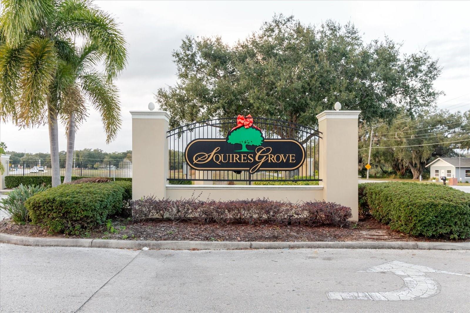 Single Family Residence at 525 SQUIRES GROVE DR, WINTER HAVEN, photo 2 of 63