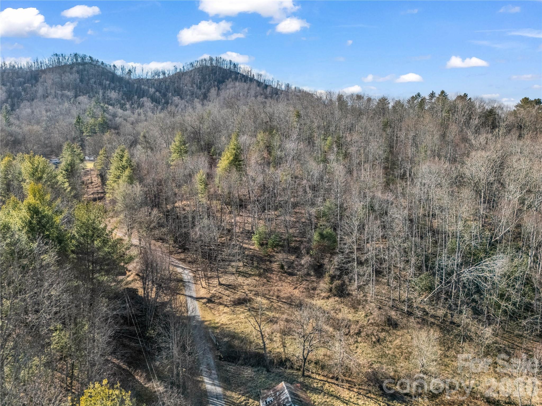 Acreage at 530 Mine Creek Road, Bakersville, photo 3 of 25