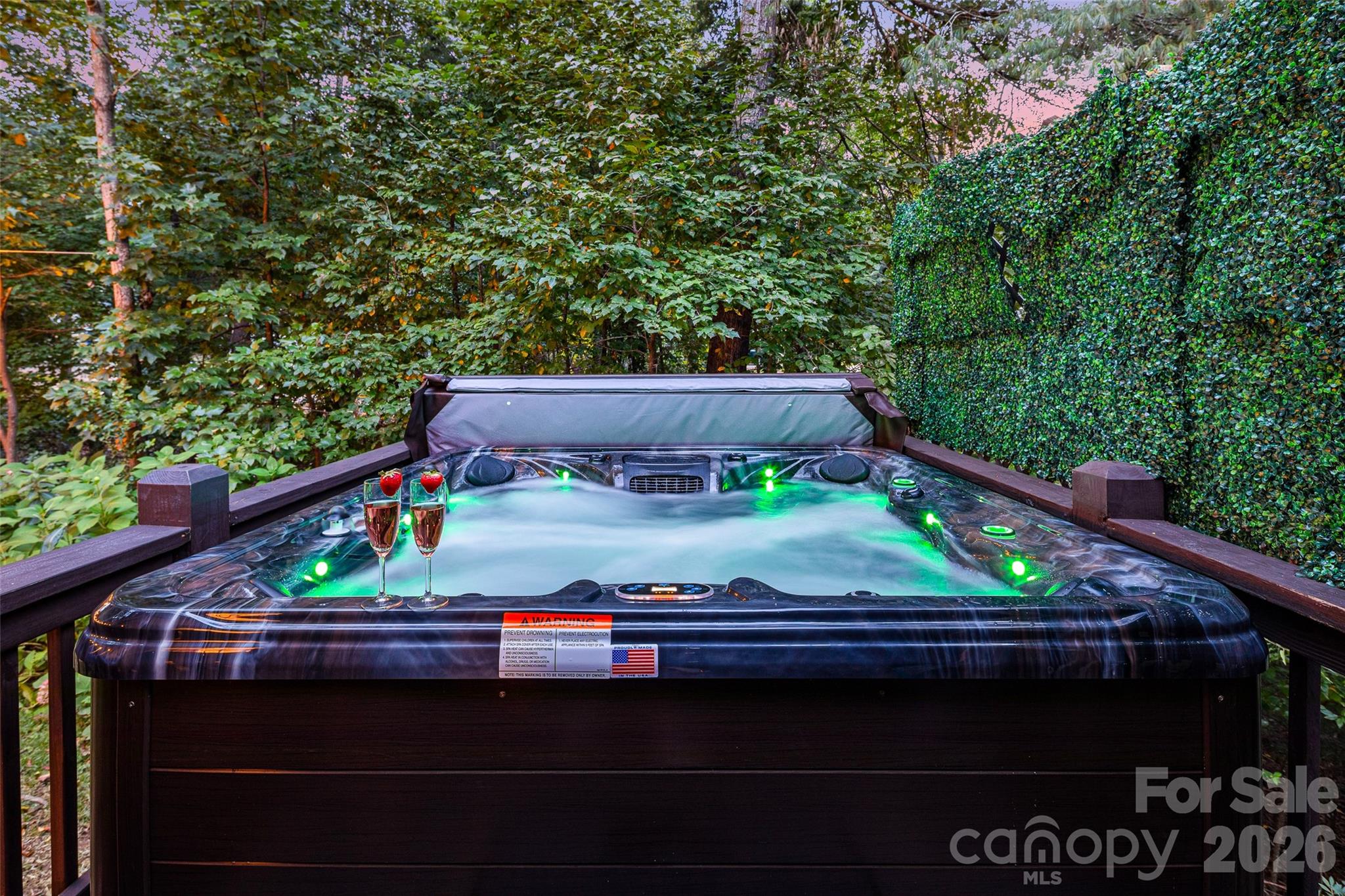 hot tub - 28 Grove Garden Avenue, Candler