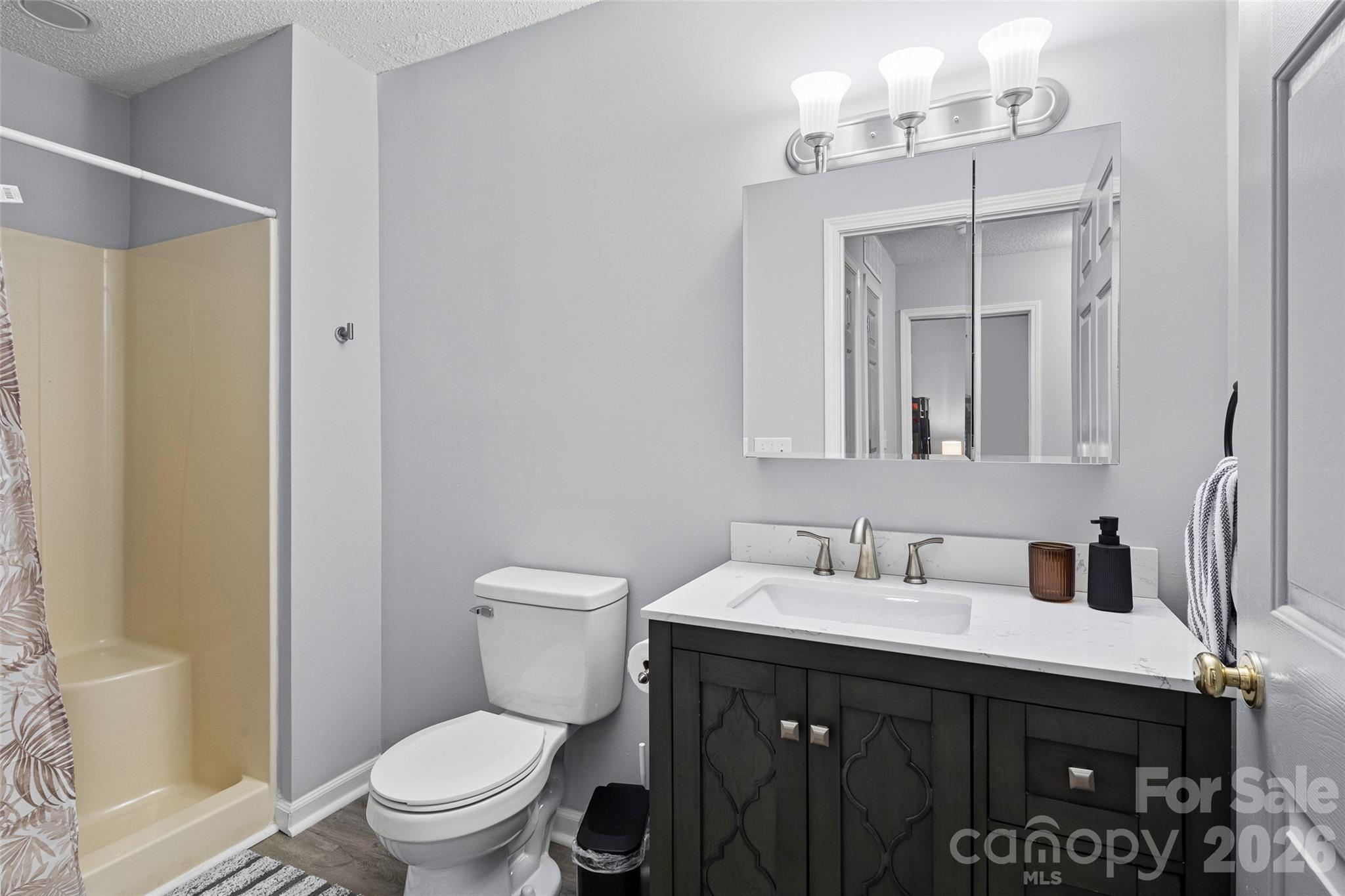 lower level full bath - 28 Grove Garden Avenue, Candler