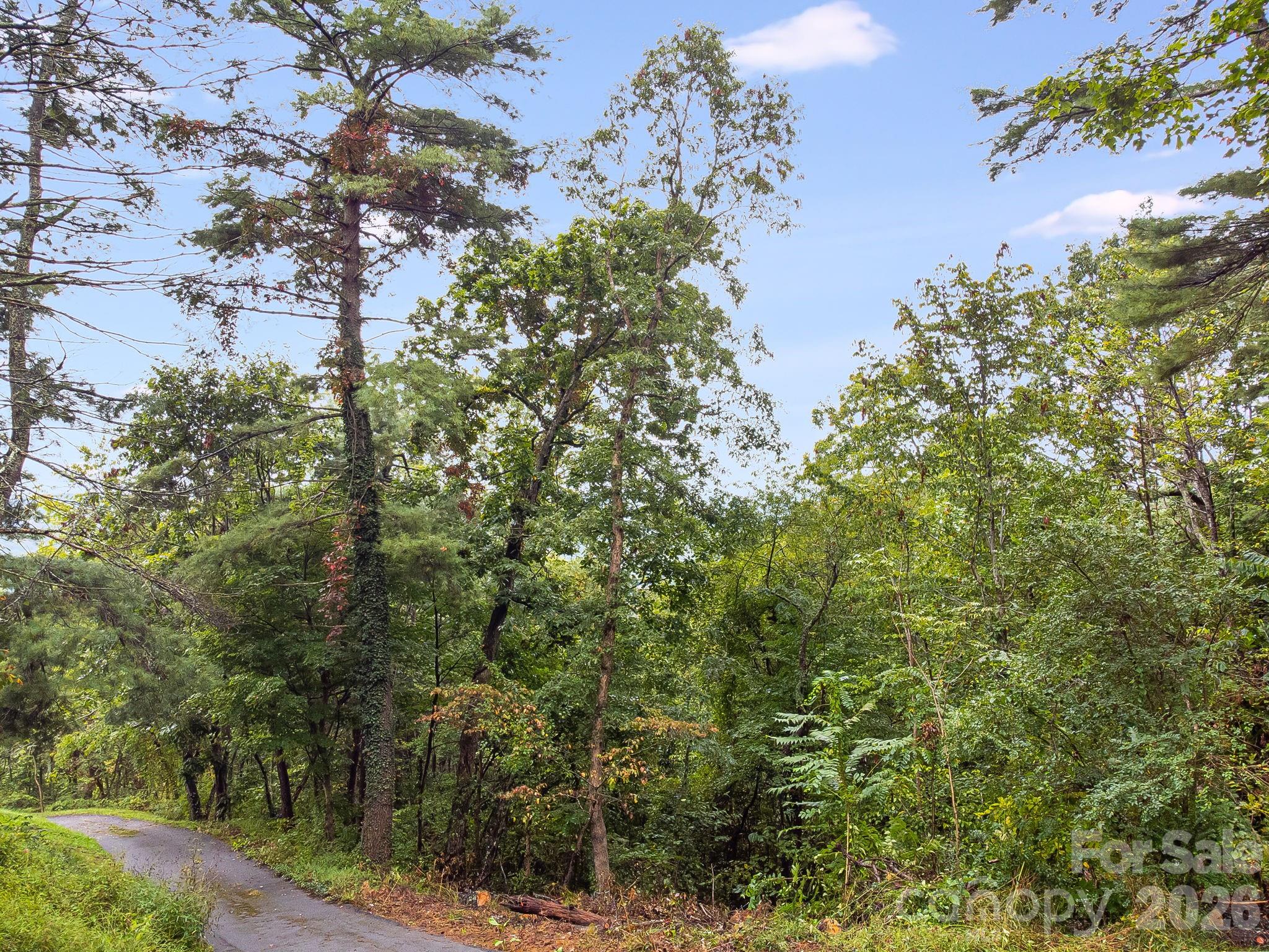 Lot at 99999 Beaverbrook Road, Asheville, photo 23 of 33