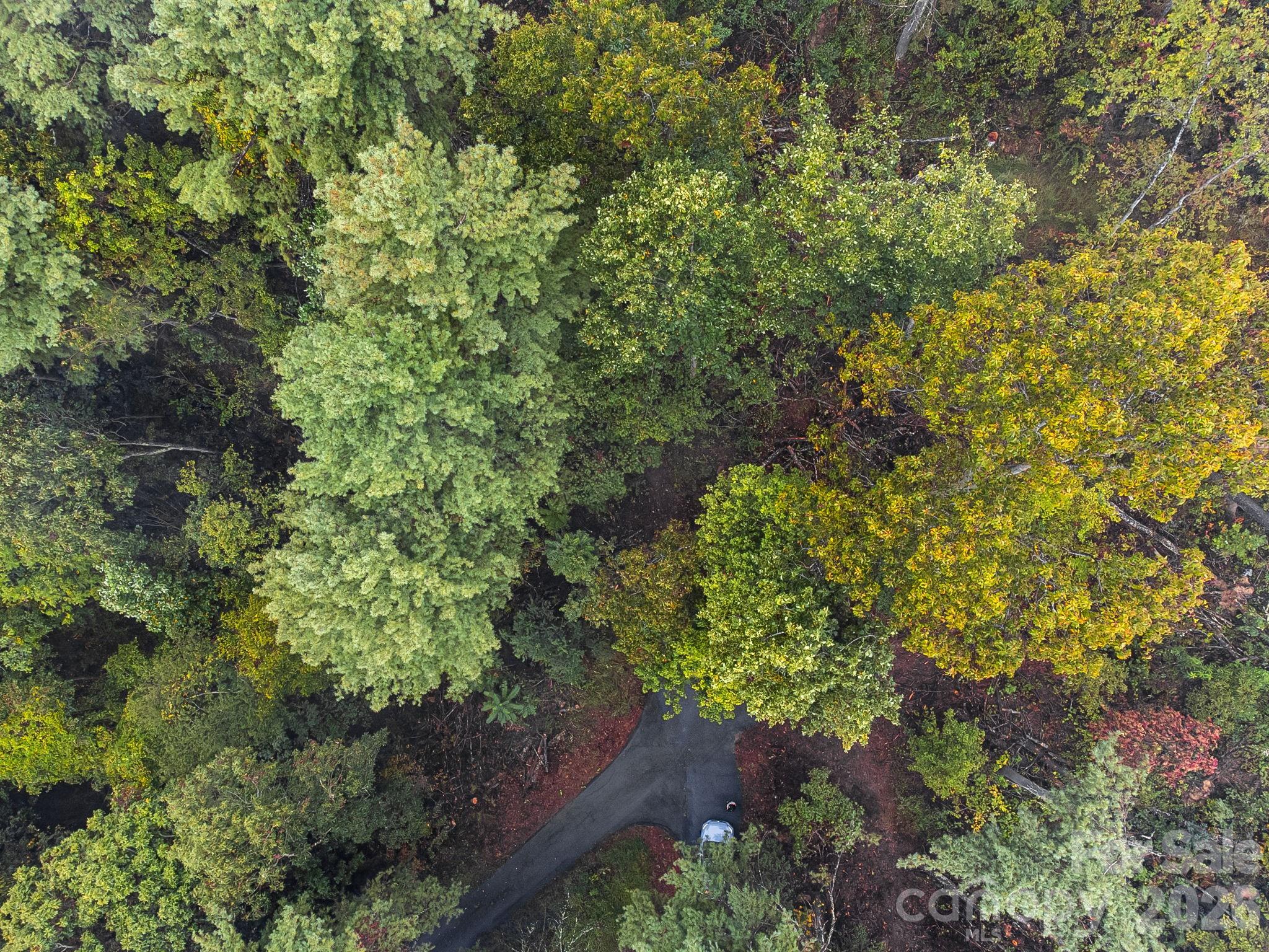 Lot at 99999 Beaverbrook Road, Asheville, photo 24 of 33