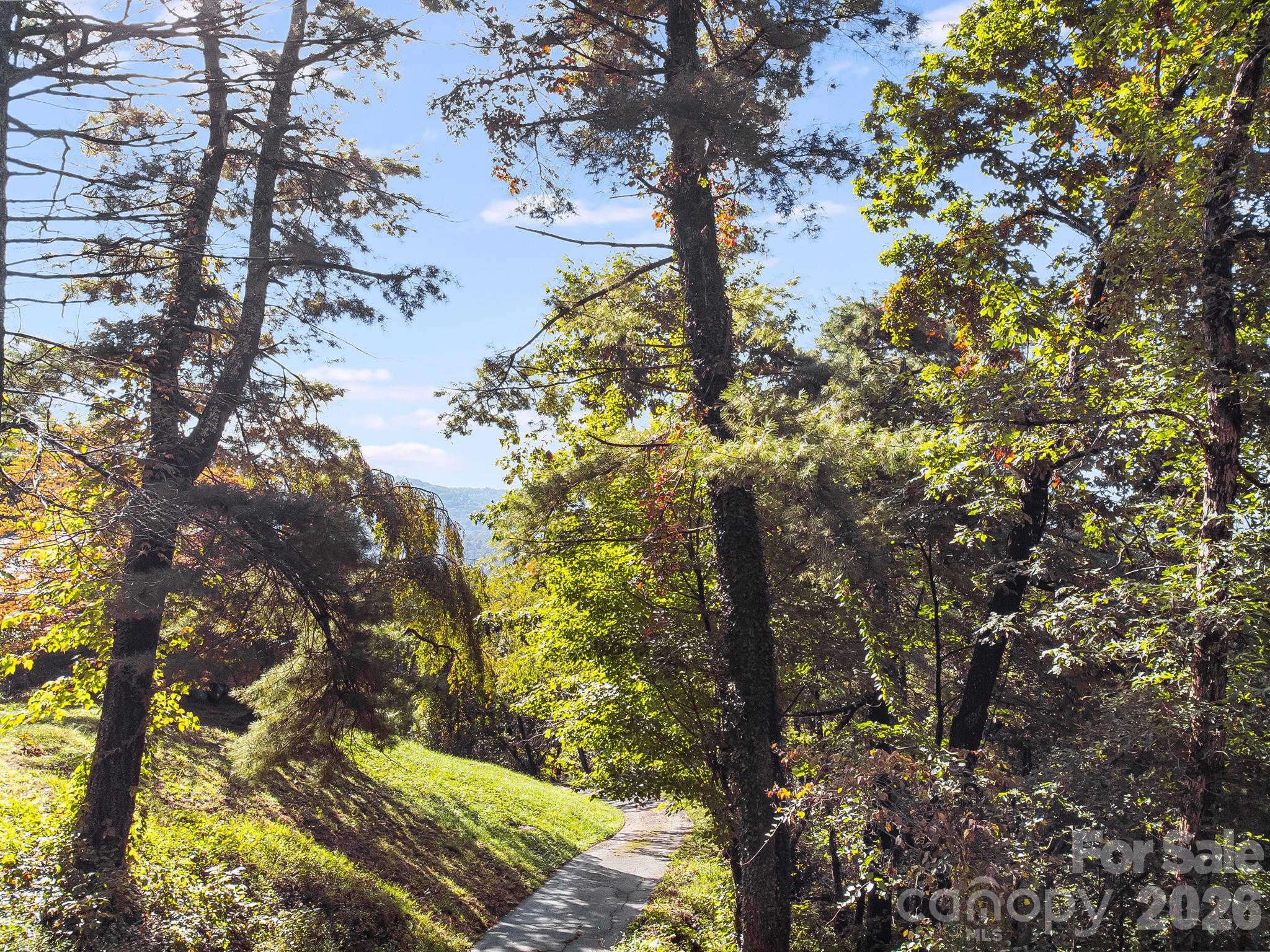 Lot at 99999 Beaverbrook Road, Asheville, photo 25 of 33
