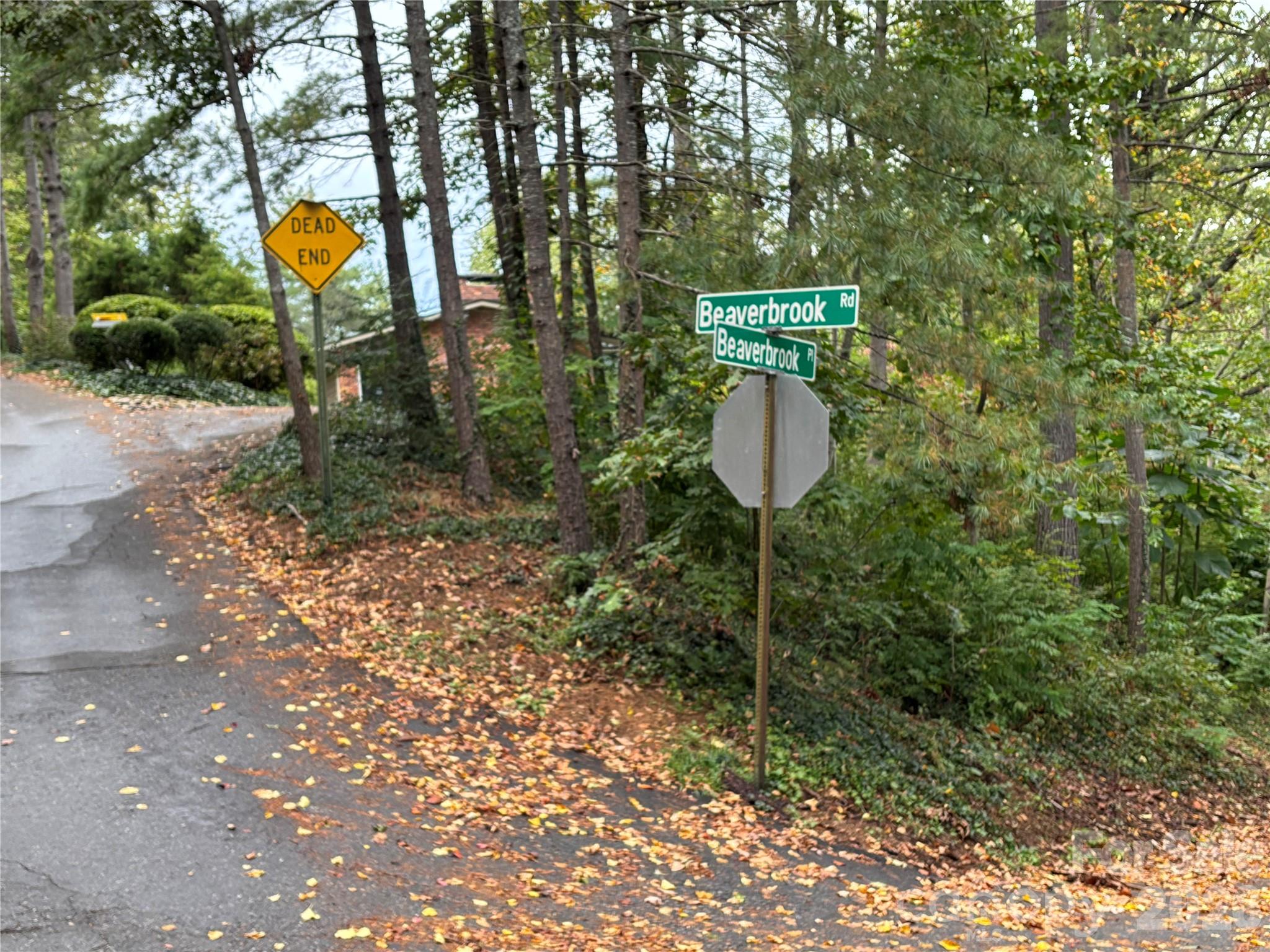 Lot at 99999 Beaverbrook Road, Asheville, photo 33 of 33