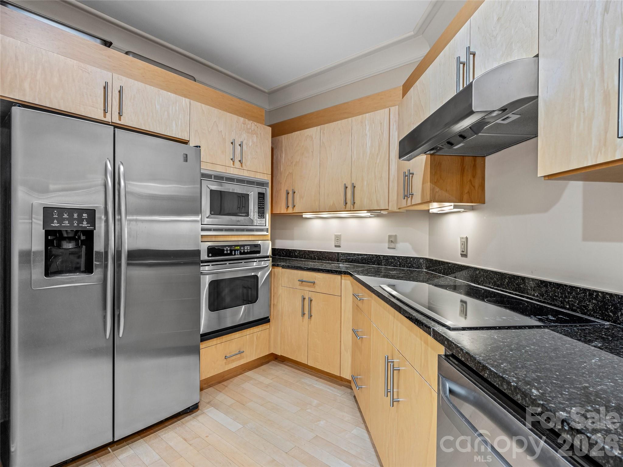 Condominium at 21 Battery Park Avenue, Asheville, photo 6 of 39