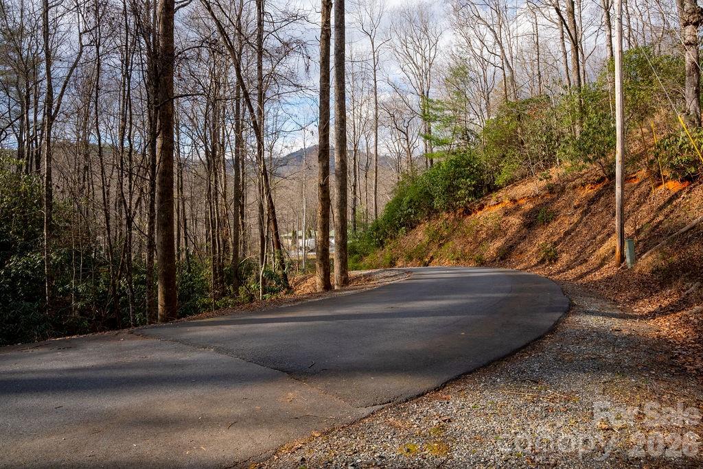 Lot at lots 35, 36 & 37 Fox Den Road, Brevard, photo 4 of 20