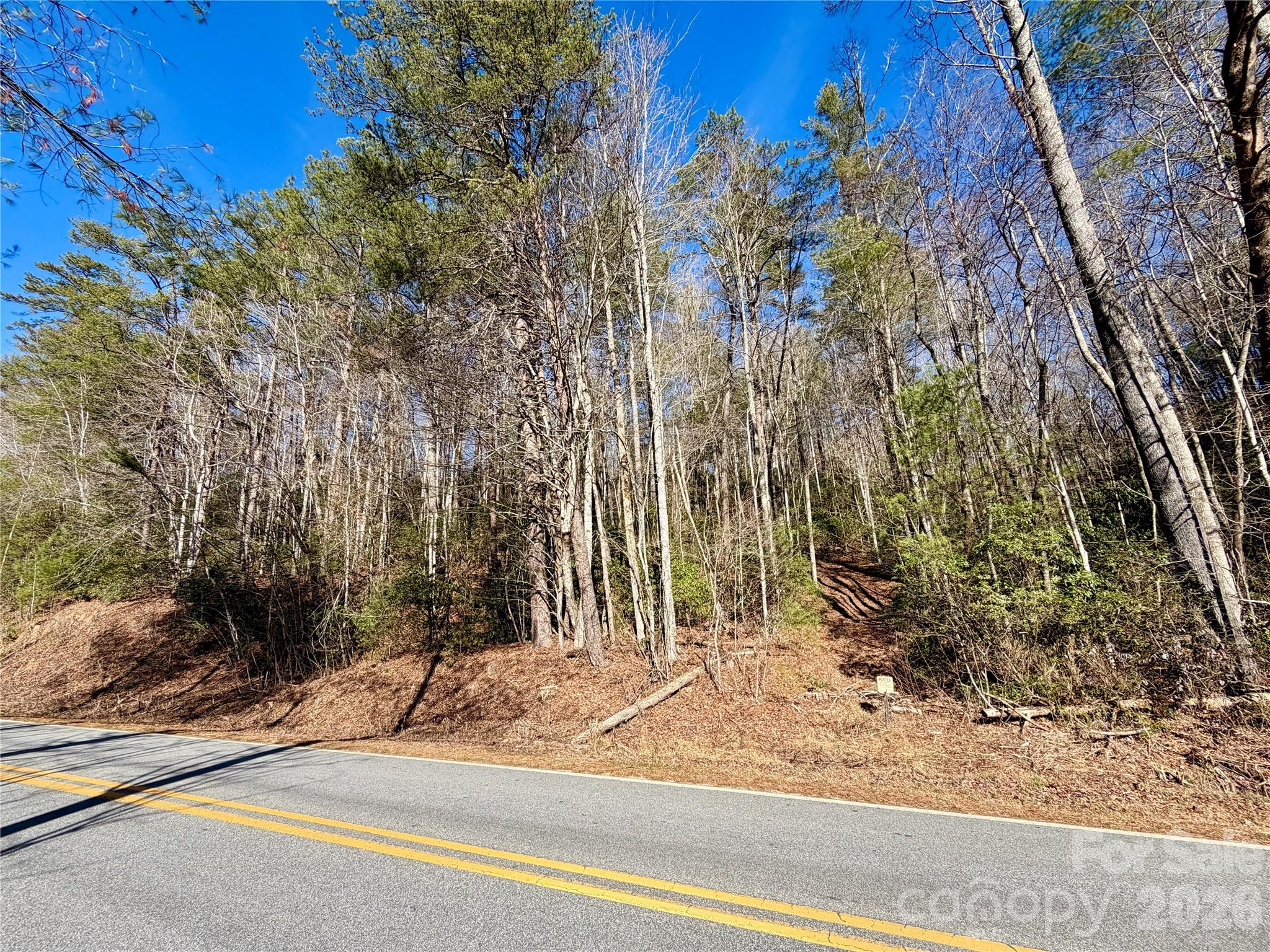 Lot at lots 35, 36 & 37 Fox Den Road, Brevard, photo 5 of 20
