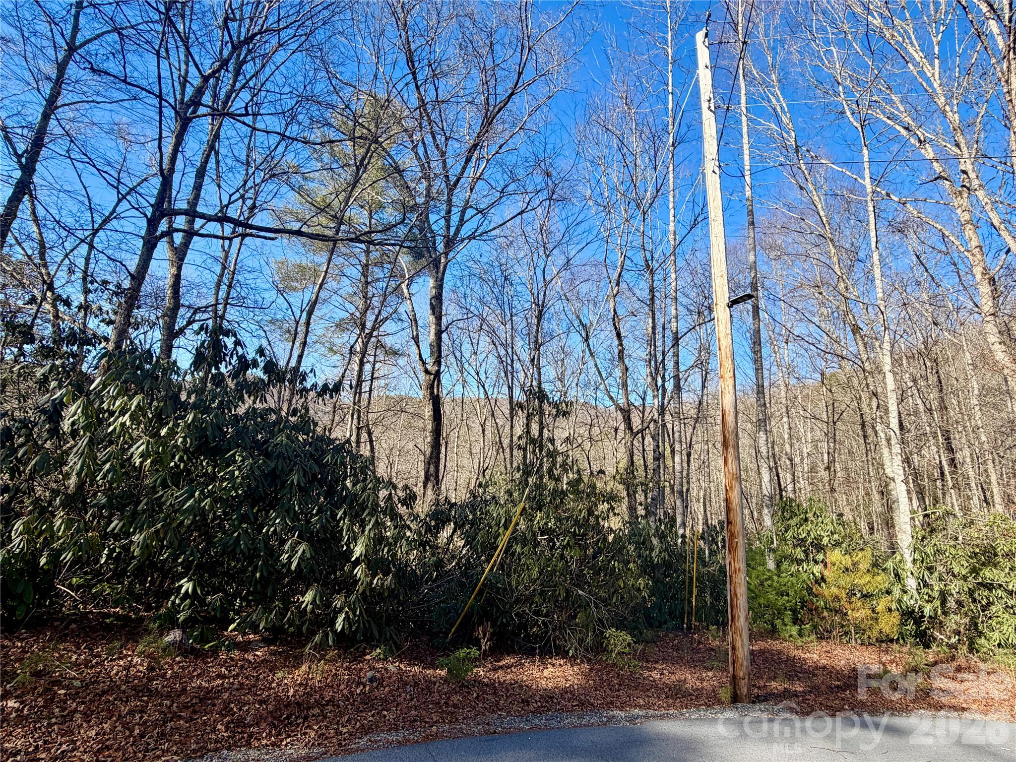 Lot at lots 35, 36 & 37 Fox Den Road, Brevard, photo 7 of 20