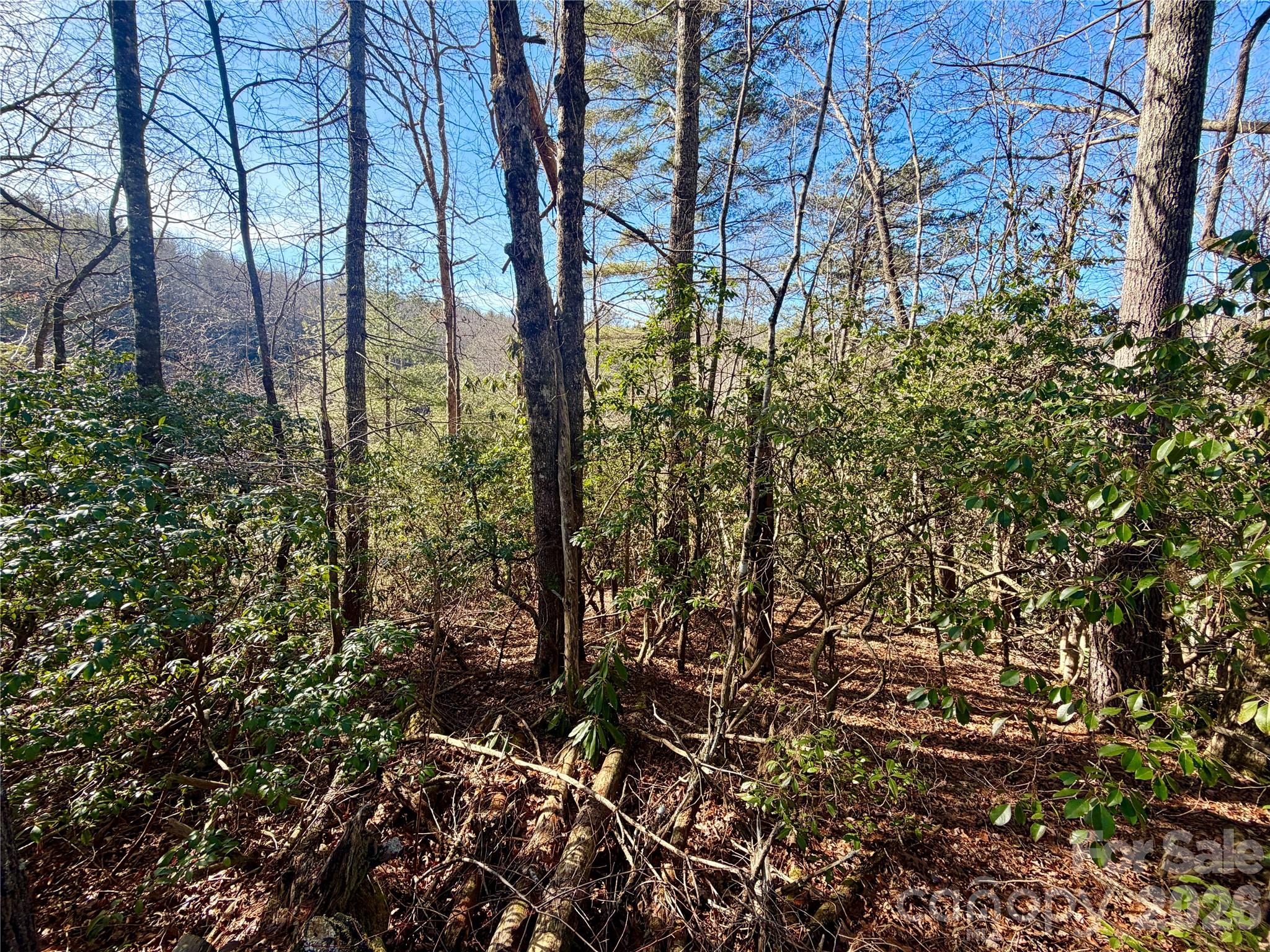 Lot at lots 35, 36 & 37 Fox Den Road, Brevard, photo 8 of 20