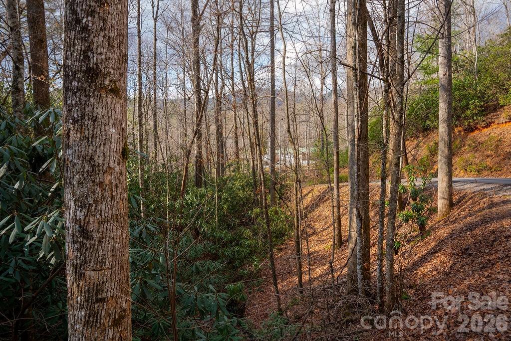 Lot at lots 35, 36 & 37 Fox Den Road, Brevard, photo 9 of 20