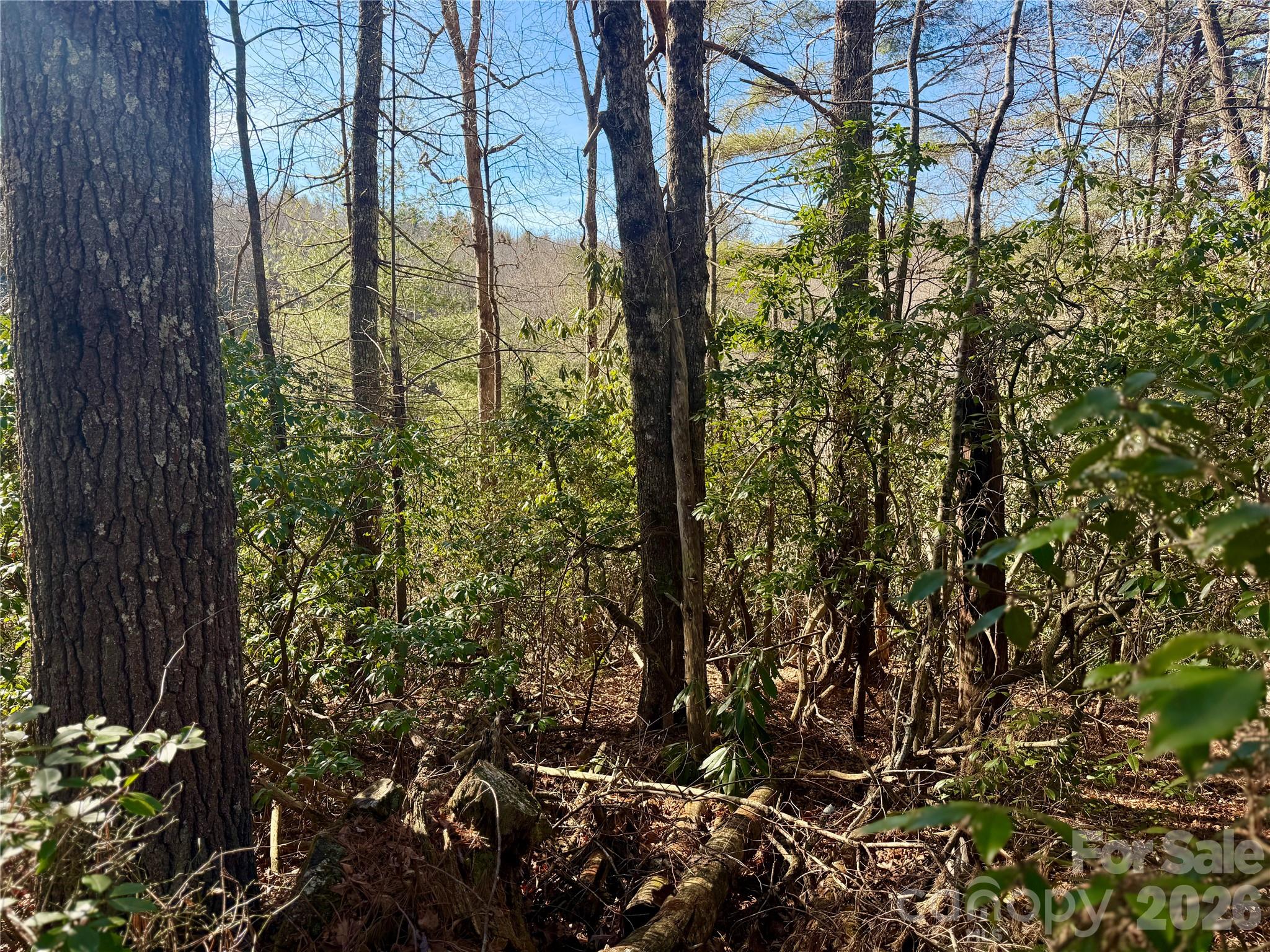 Lot at lots 35, 36 & 37 Fox Den Road, Brevard, photo 11 of 20