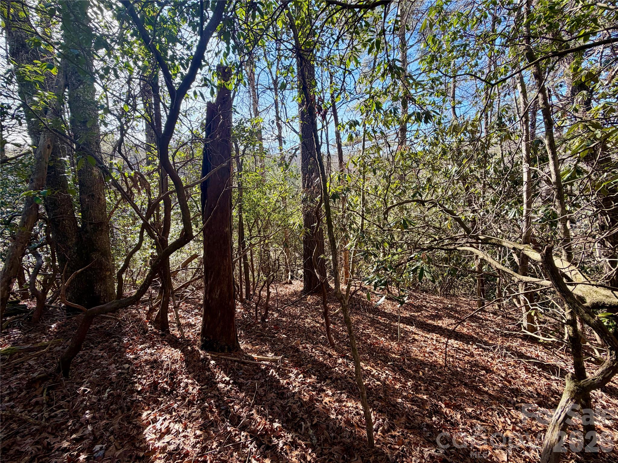 Lot at lots 35, 36 & 37 Fox Den Road, Brevard, photo 12 of 20
