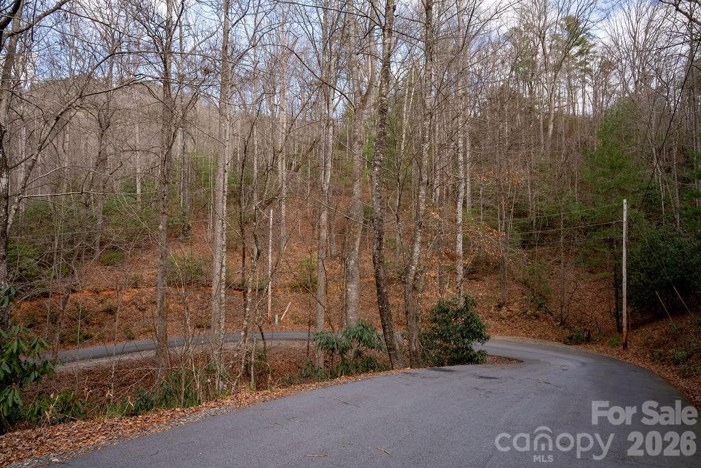 Lot at lots 35, 36 & 37 Fox Den Road, Brevard, photo 14 of 20