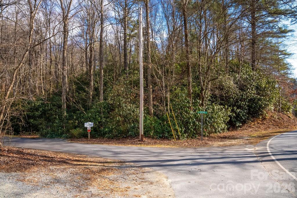 Lot at lots 35, 36 & 37 Fox Den Road, Brevard, photo 16 of 20