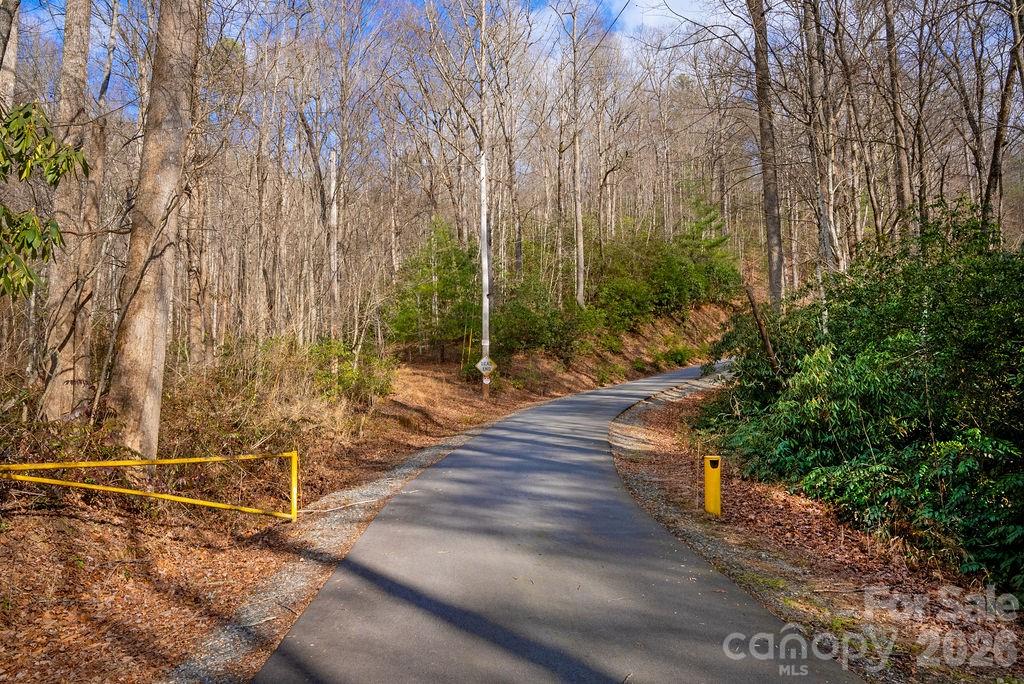 Lot at lots 35, 36 & 37 Fox Den Road, Brevard, photo 17 of 20