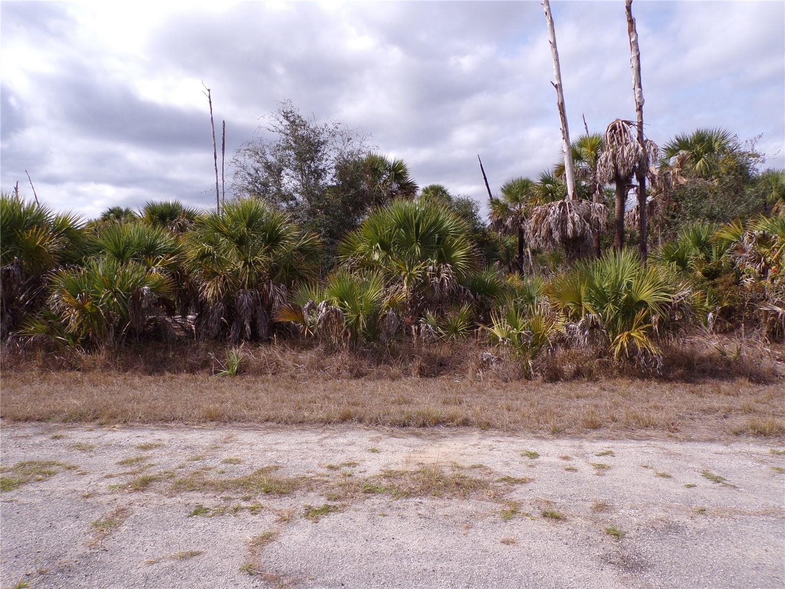 COPERNICUS RD