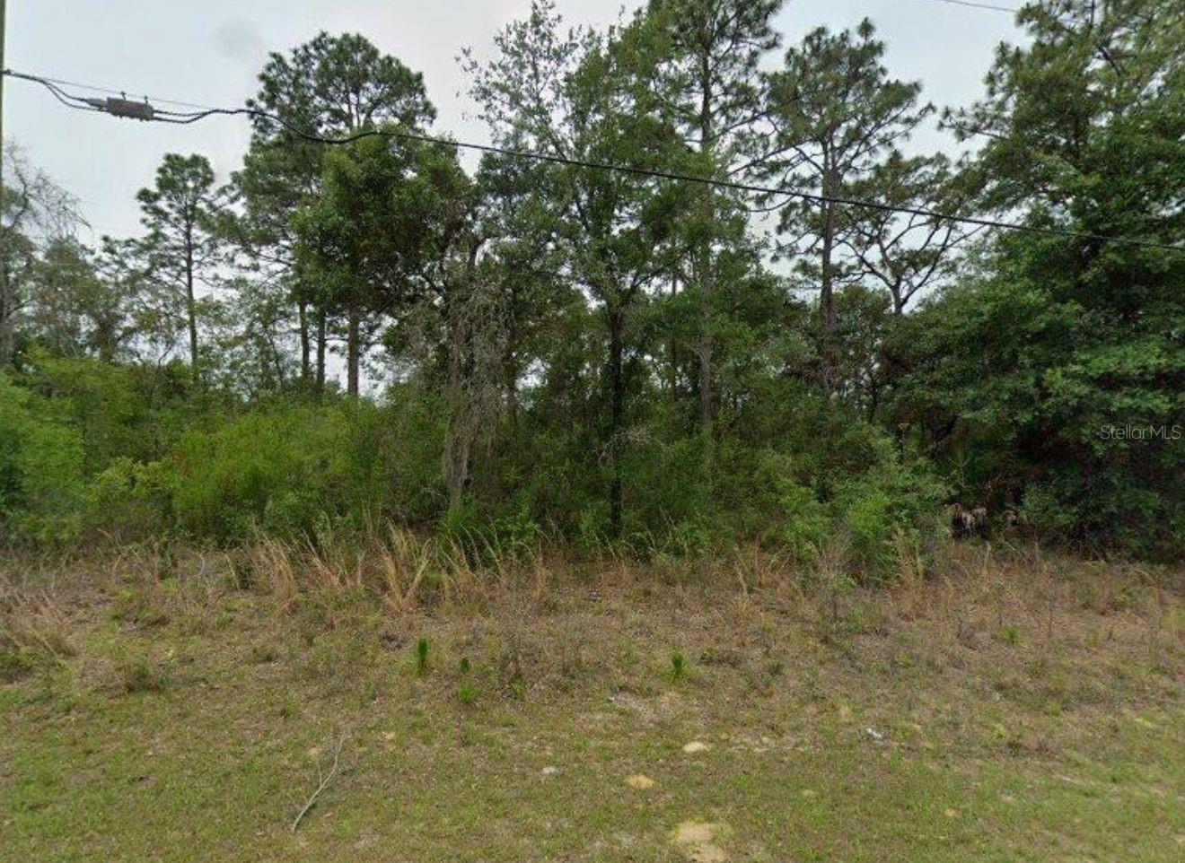 2338 W RILEY DR