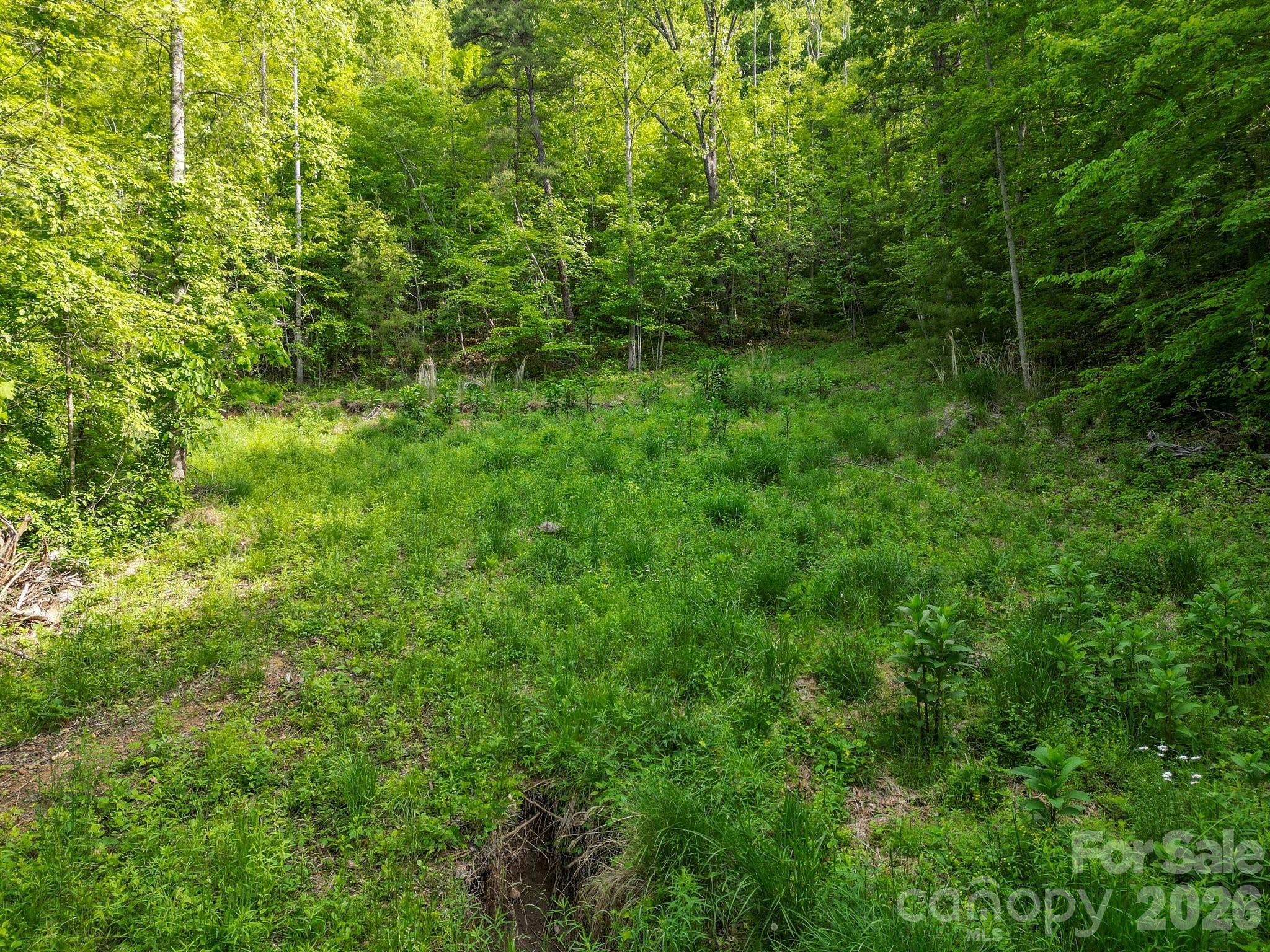 Lot at 138 Whitfield Lane, Weaverville, photo 17 of 21