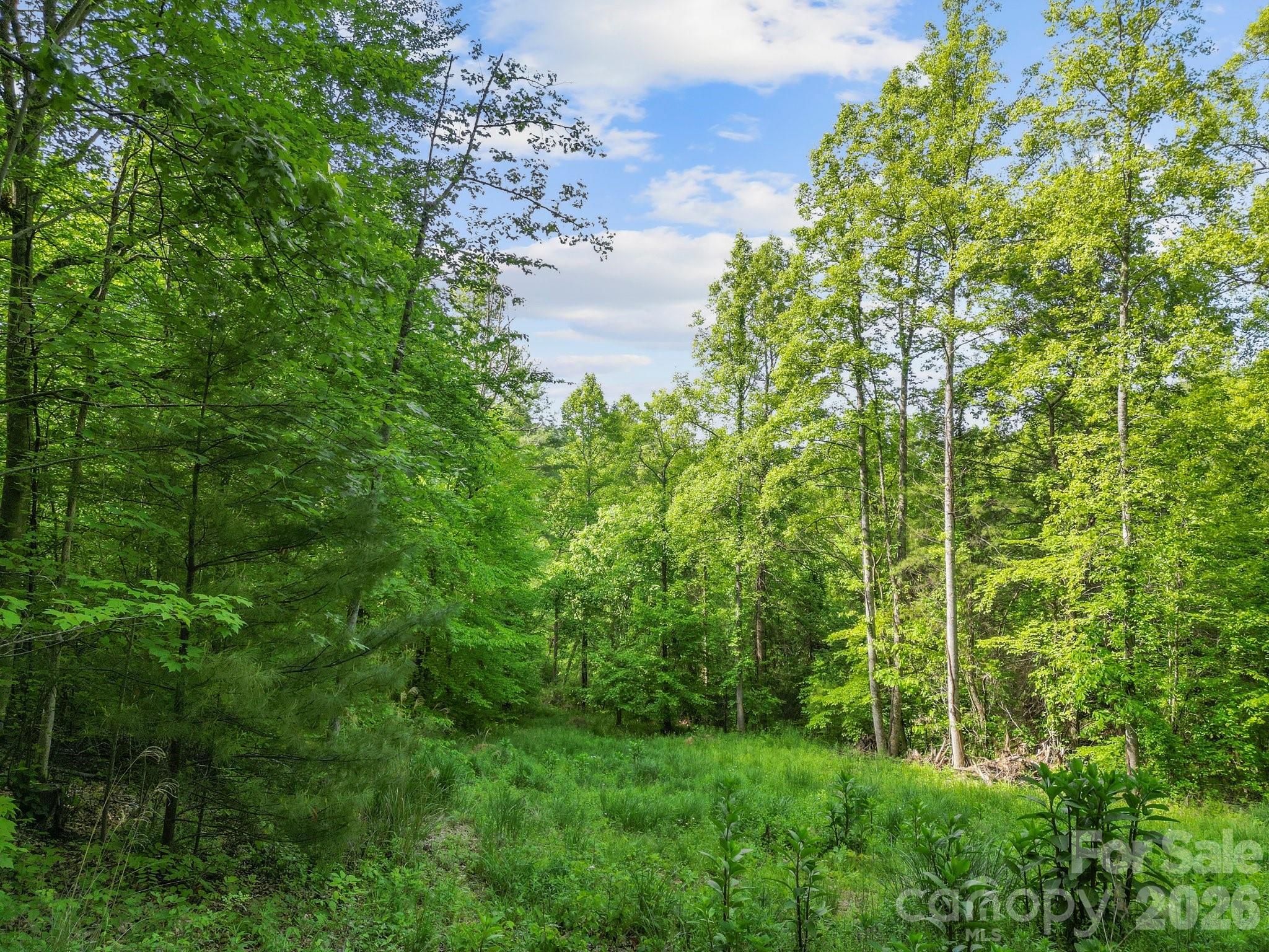 Lot at 138 Whitfield Lane, Weaverville, photo 18 of 21