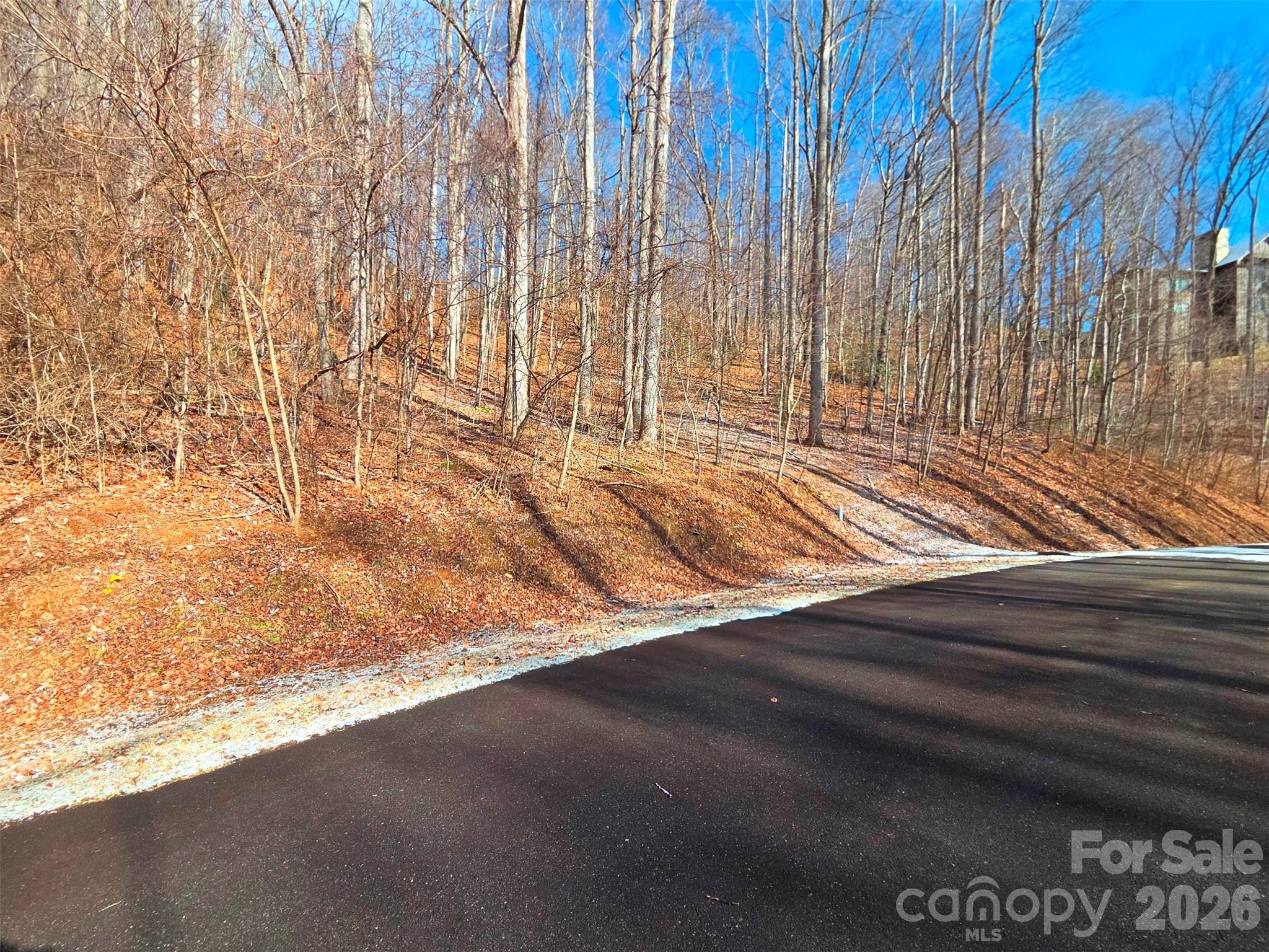 Lot at 455 Mountain Watch Drive, Waynesville, photo 7 of 18