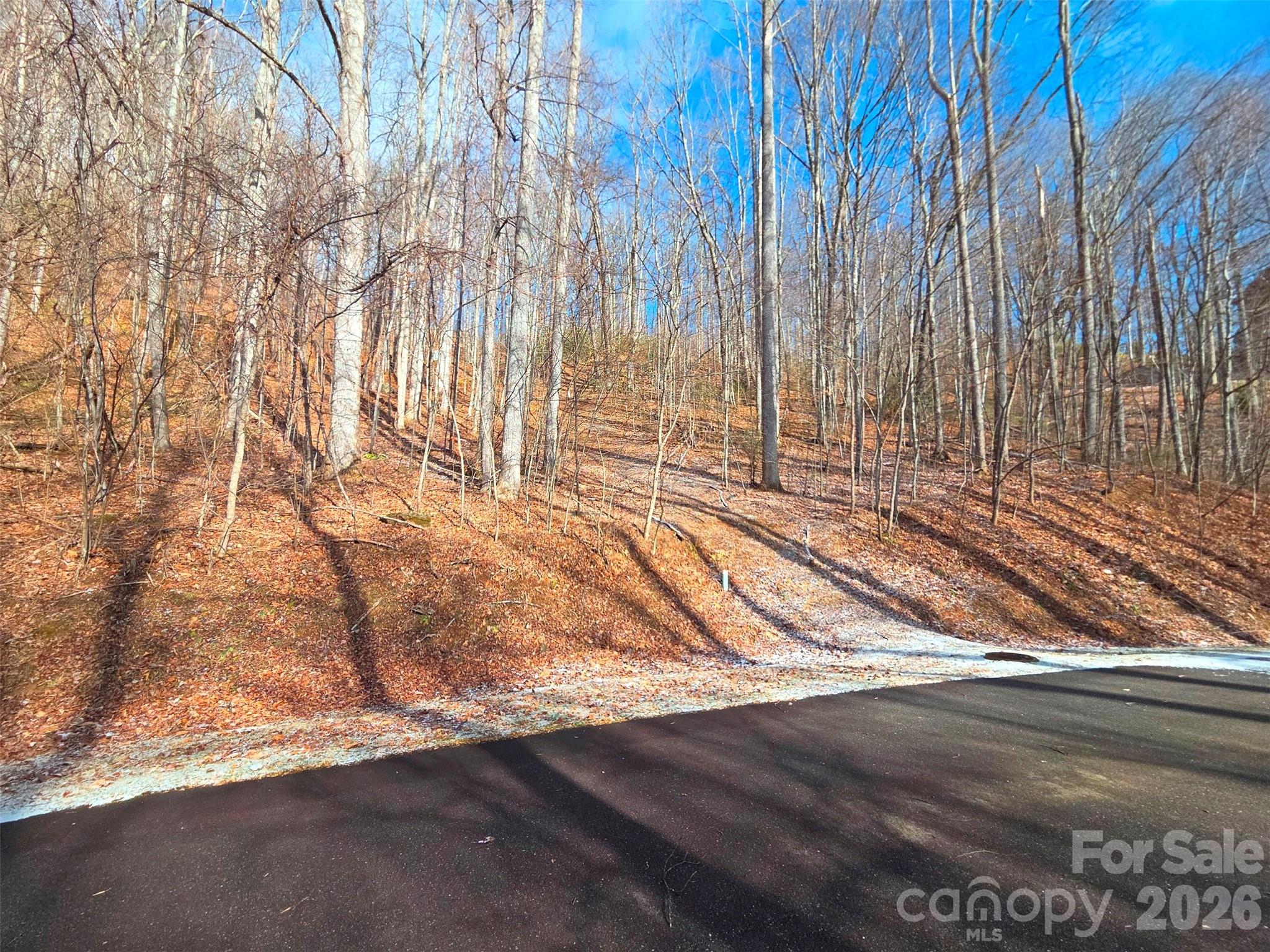 Lot at 455 Mountain Watch Drive, Waynesville, photo 14 of 18