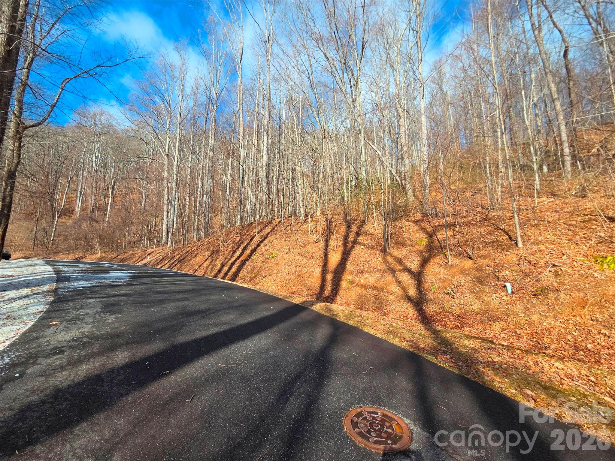 Lot at 455 Mountain Watch Drive, Waynesville, photo 10 of 18