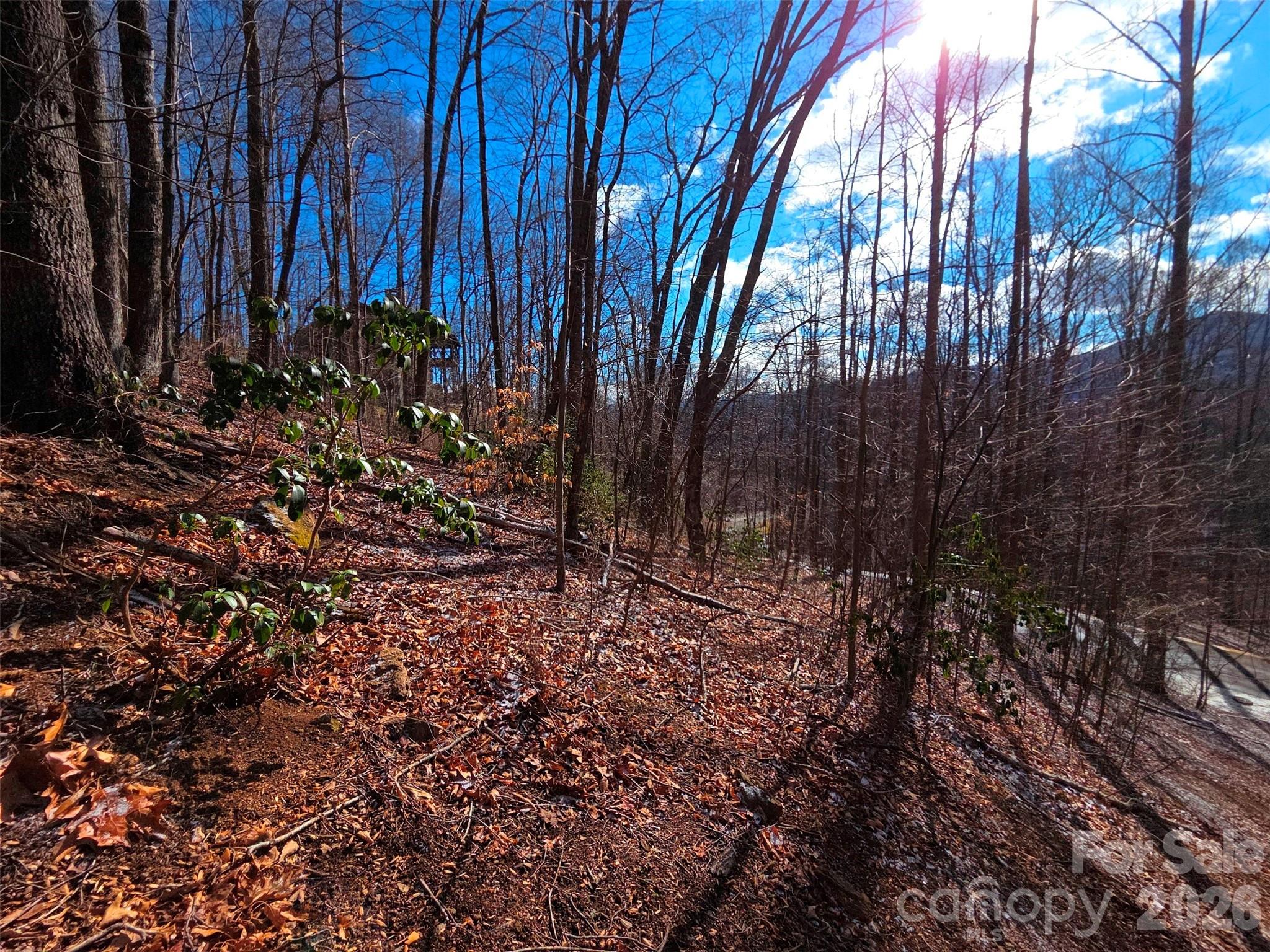 Lot at 455 Mountain Watch Drive, Waynesville, photo 15 of 18