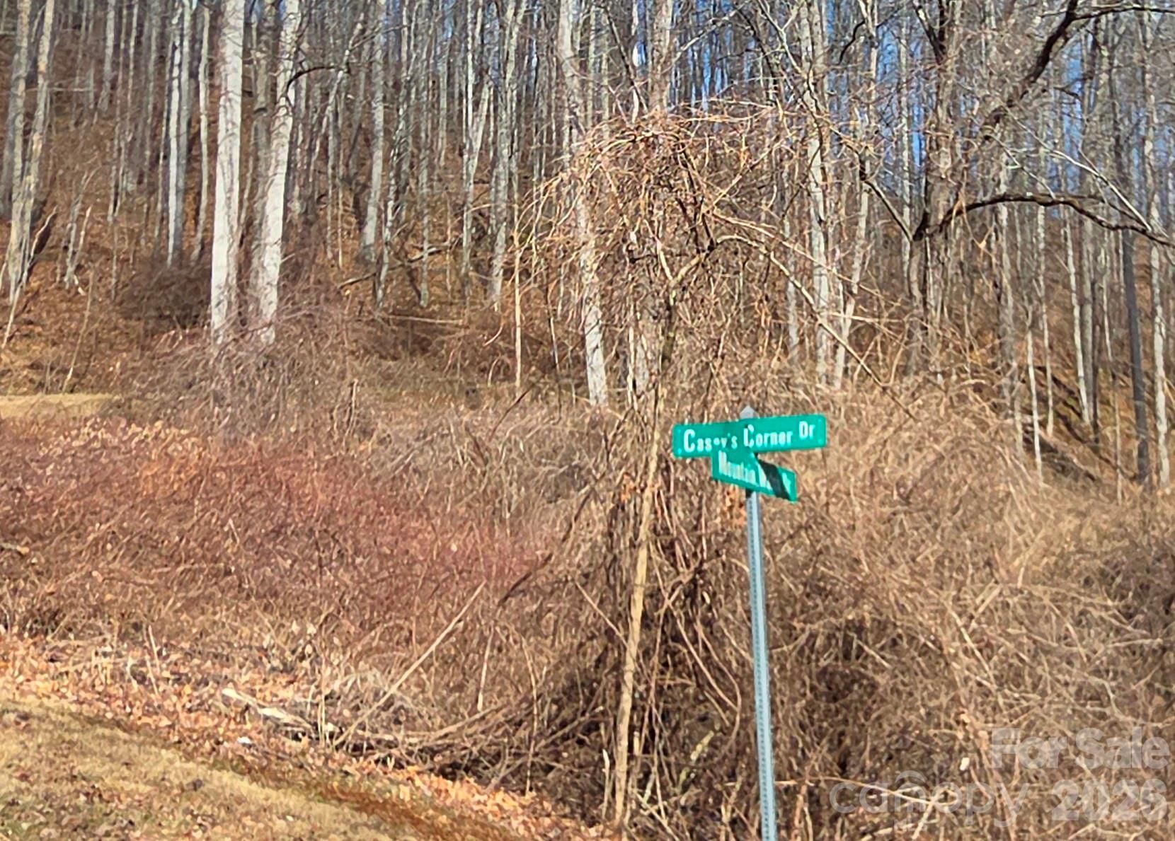 Lot at 455 Mountain Watch Drive, Waynesville, photo 16 of 18