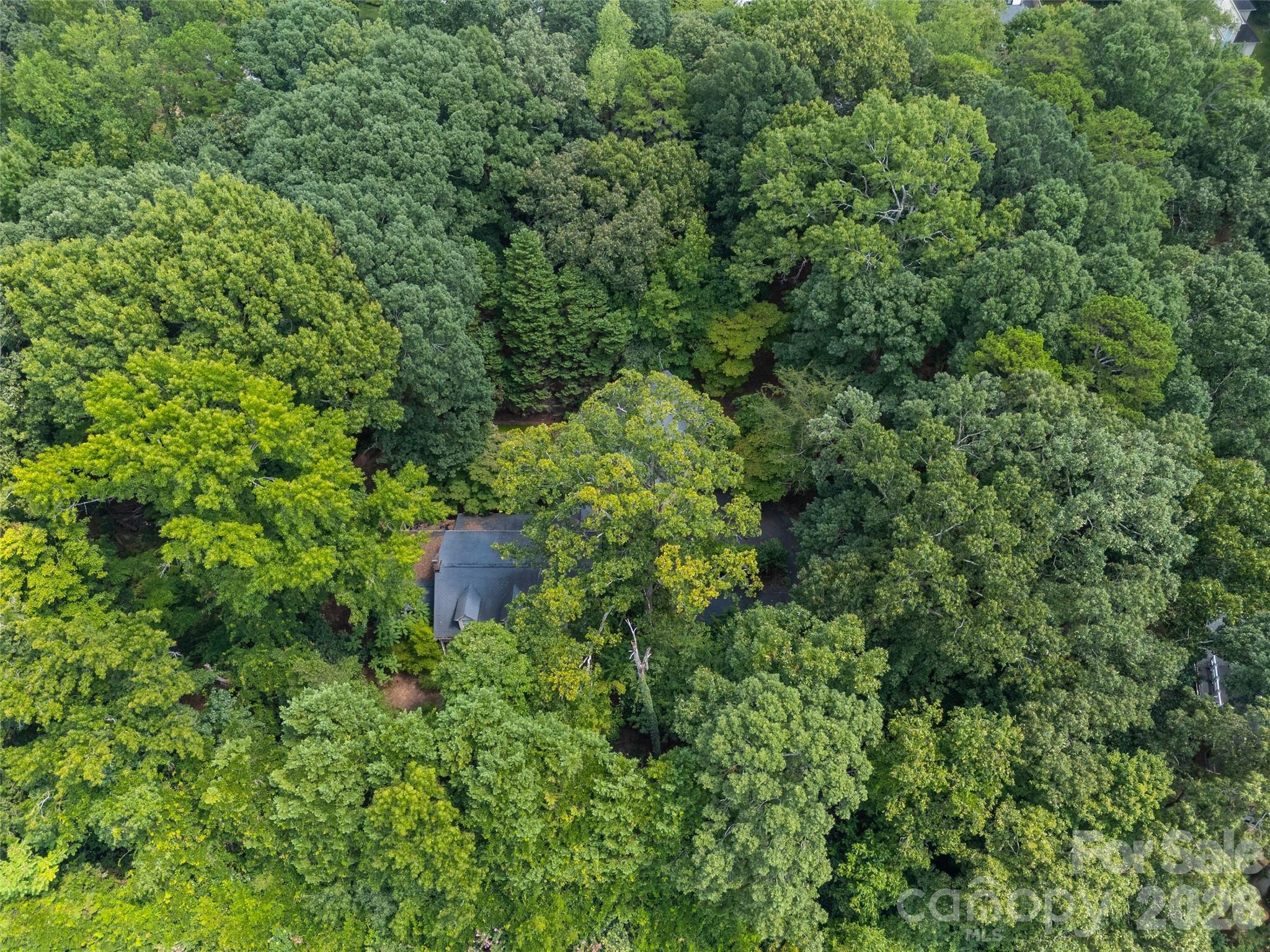 Lot at 7707 Park Road, Charlotte, photo 3 of 23